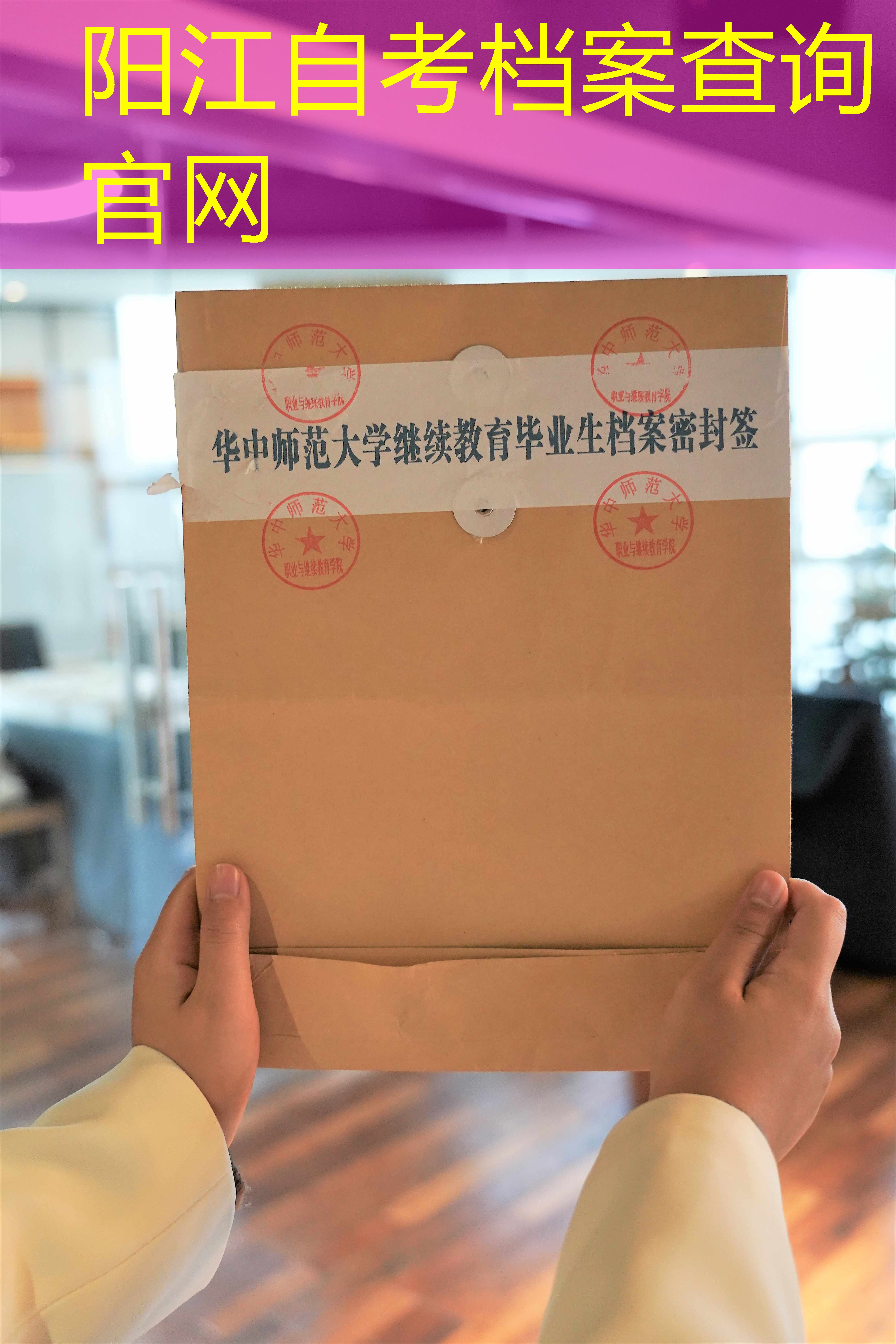 档案查询