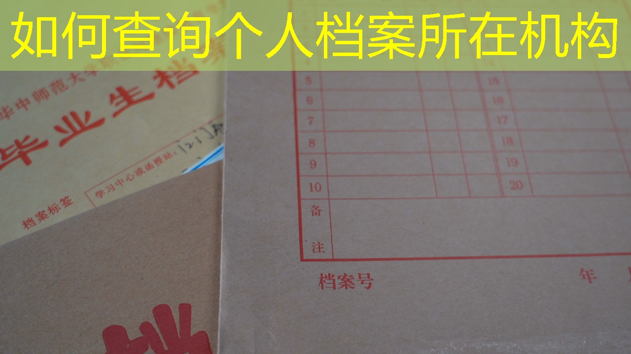档案查询