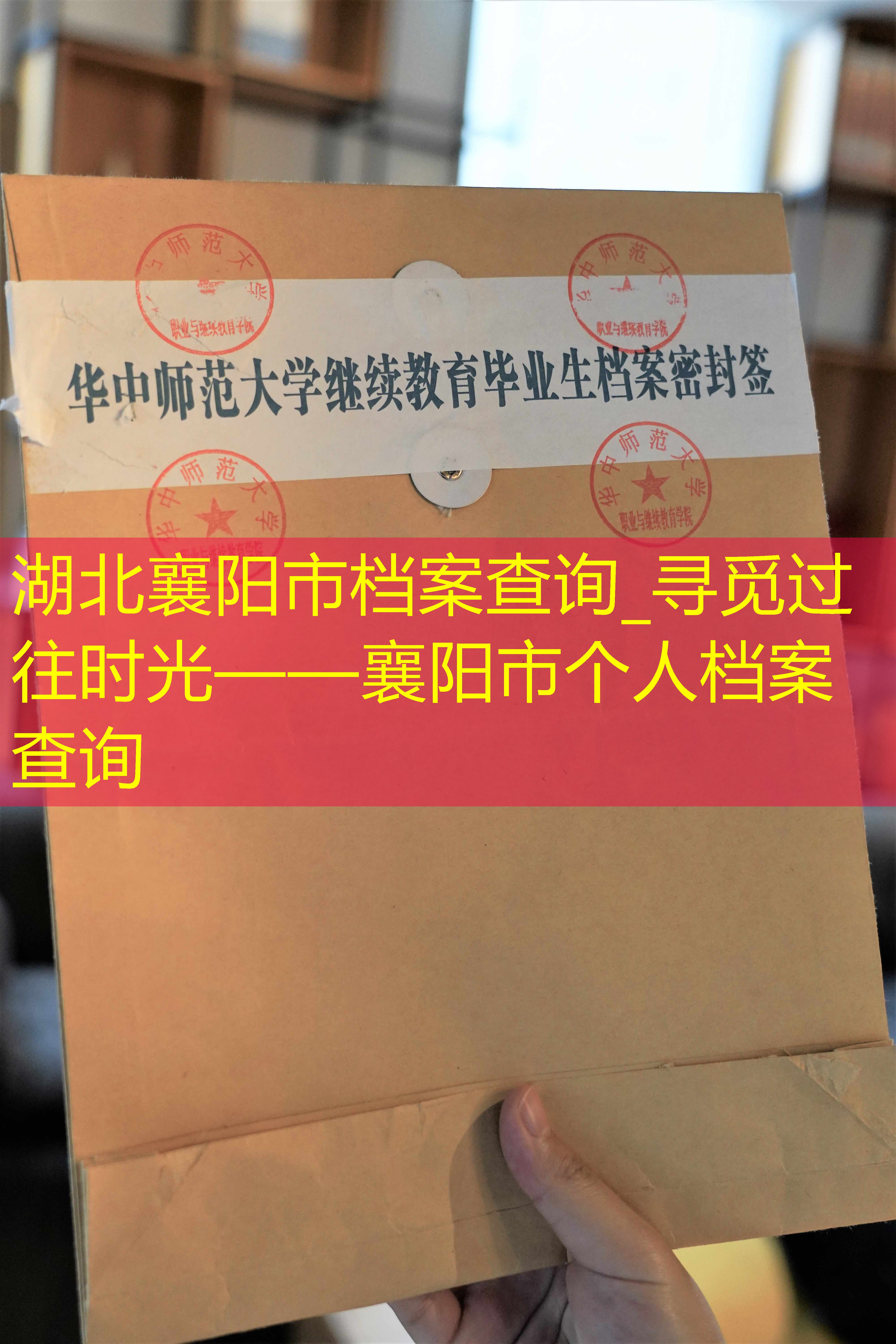 档案查询