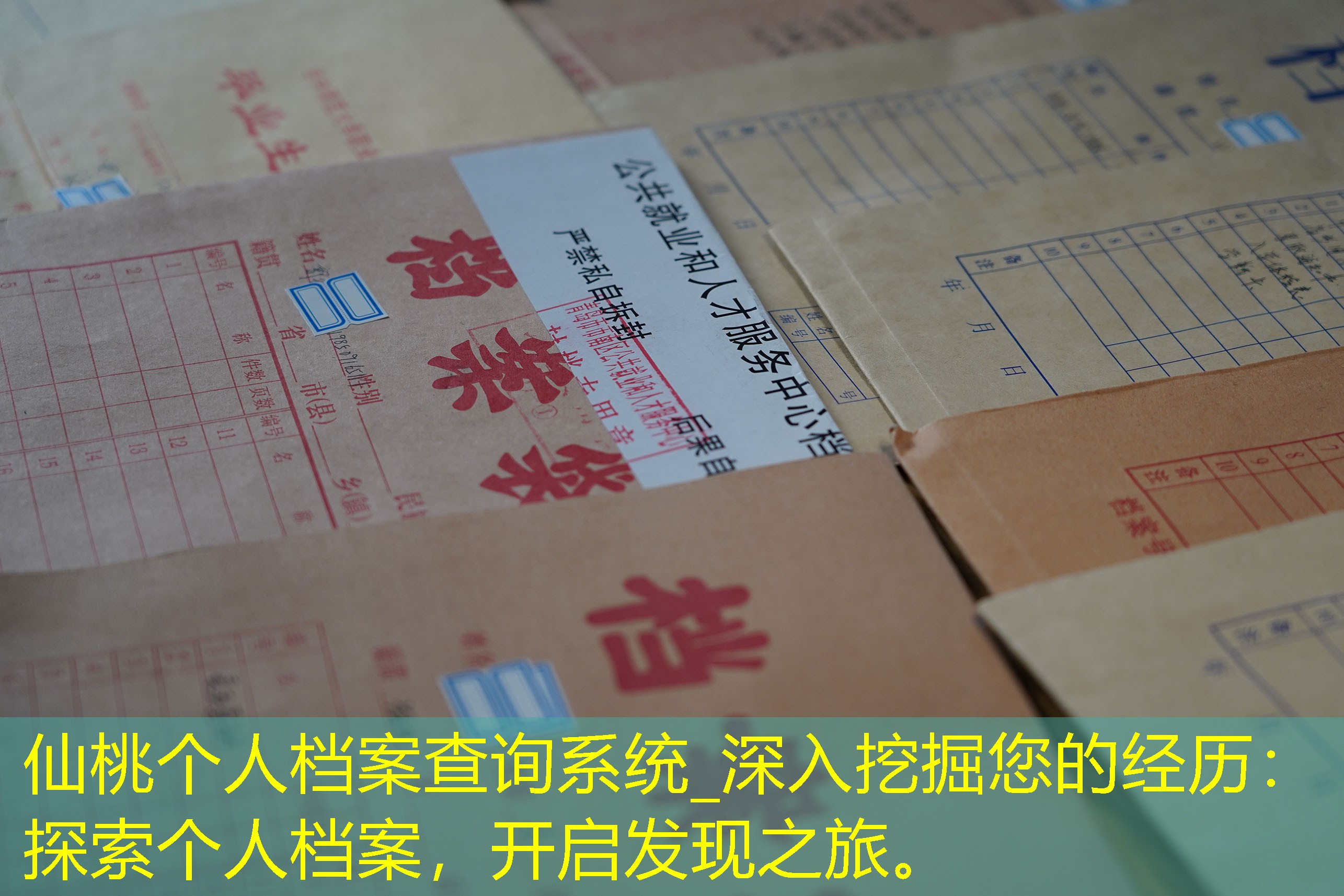 档案查询