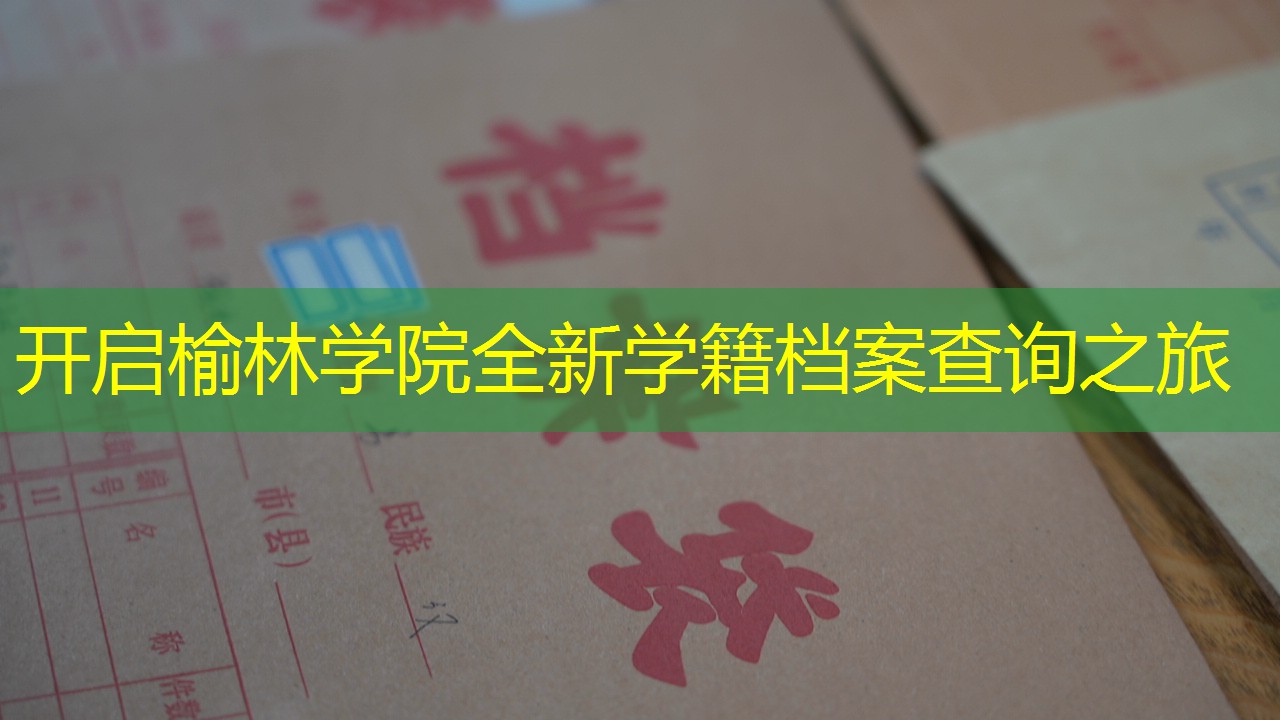 档案查询