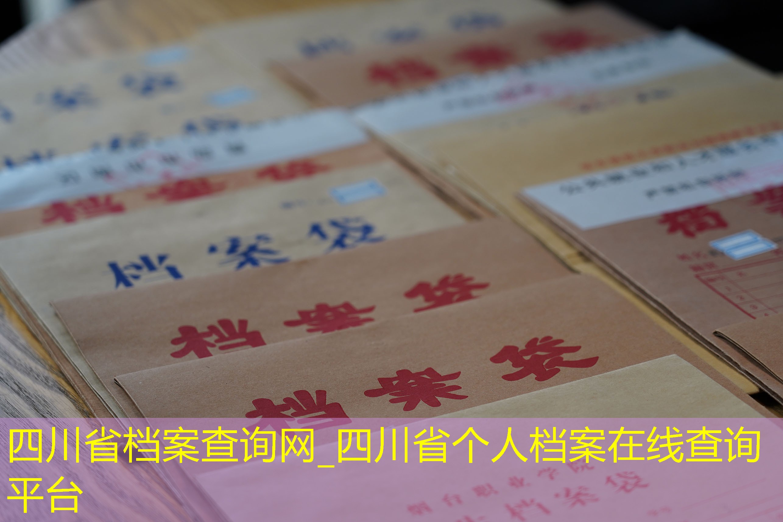 档案查询