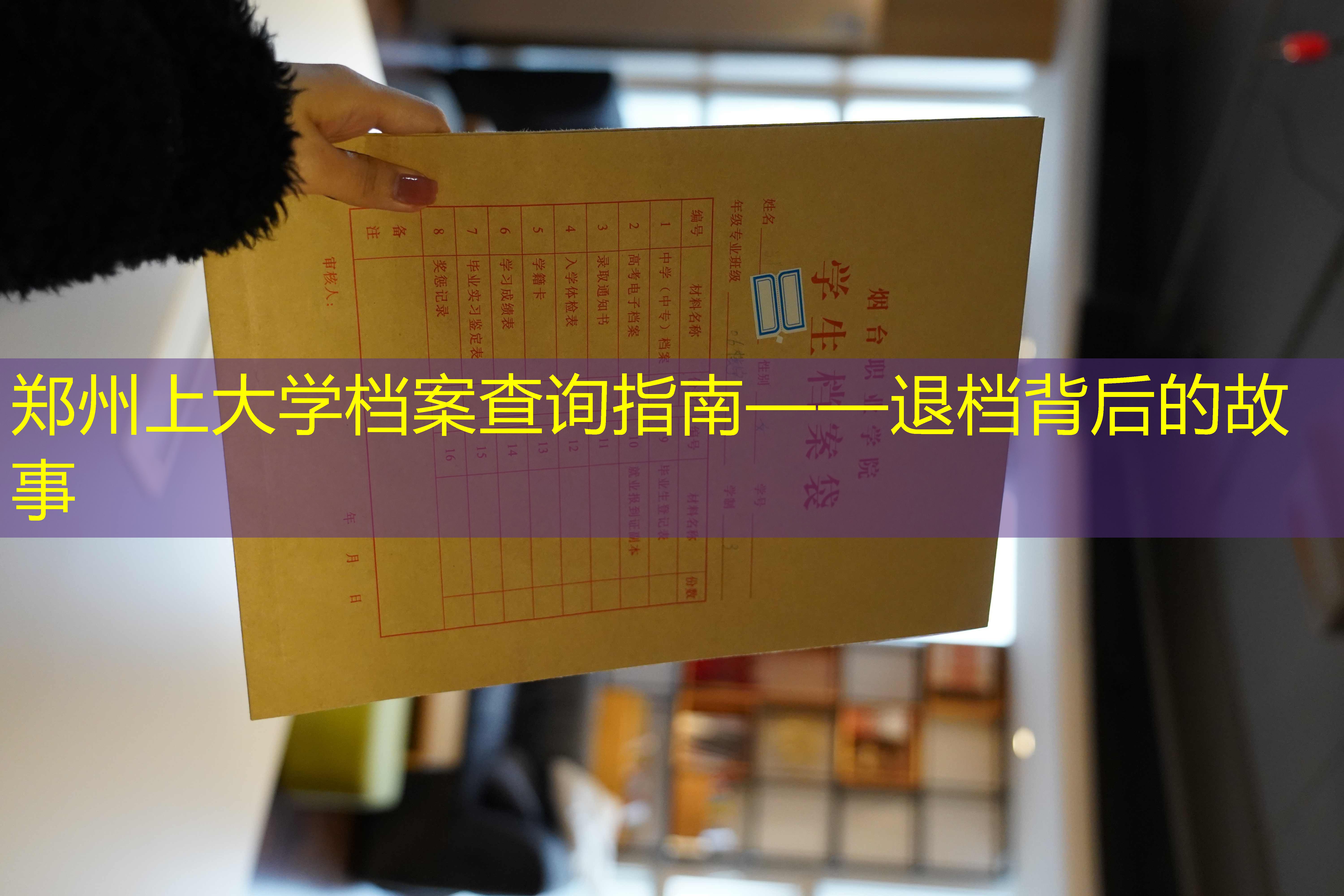 档案查询