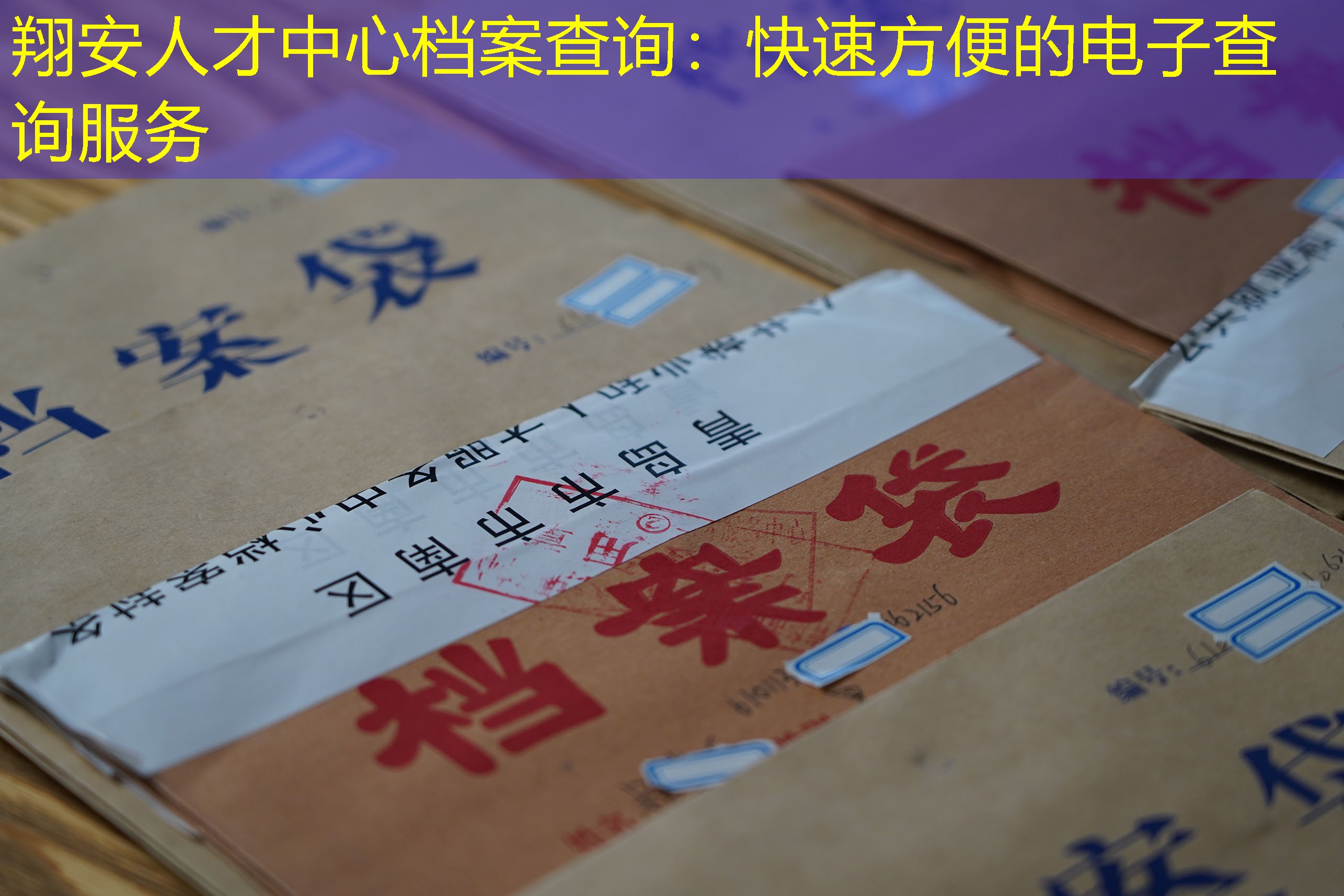 档案查询