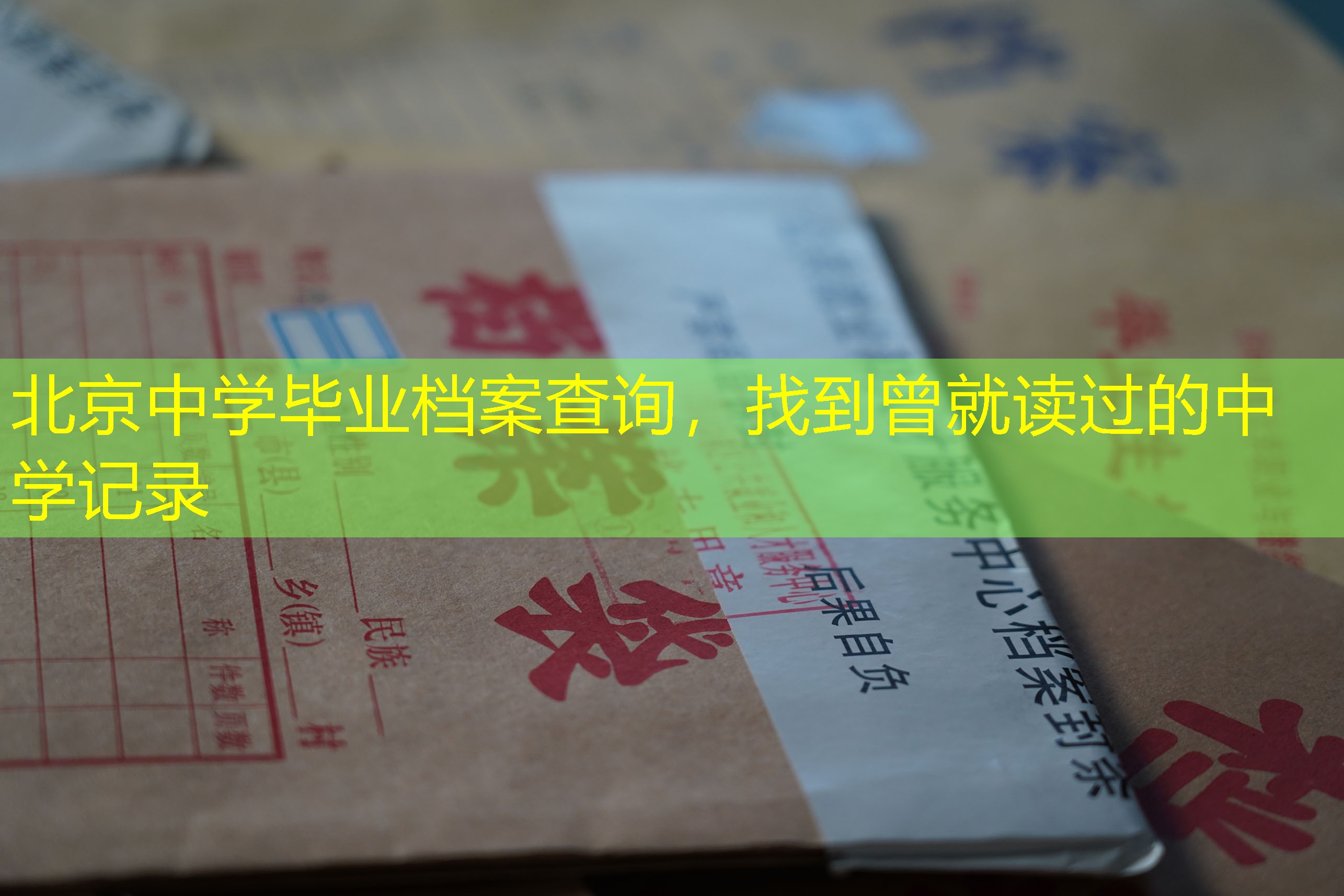 档案查询