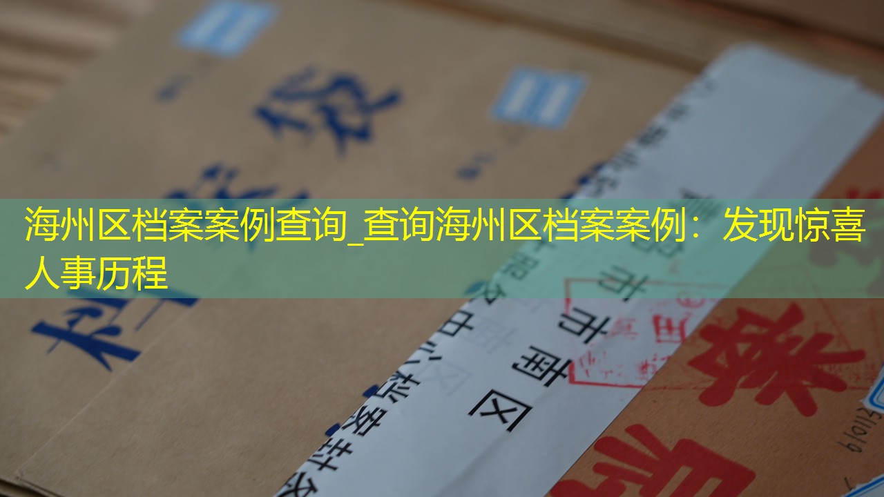 档案查询