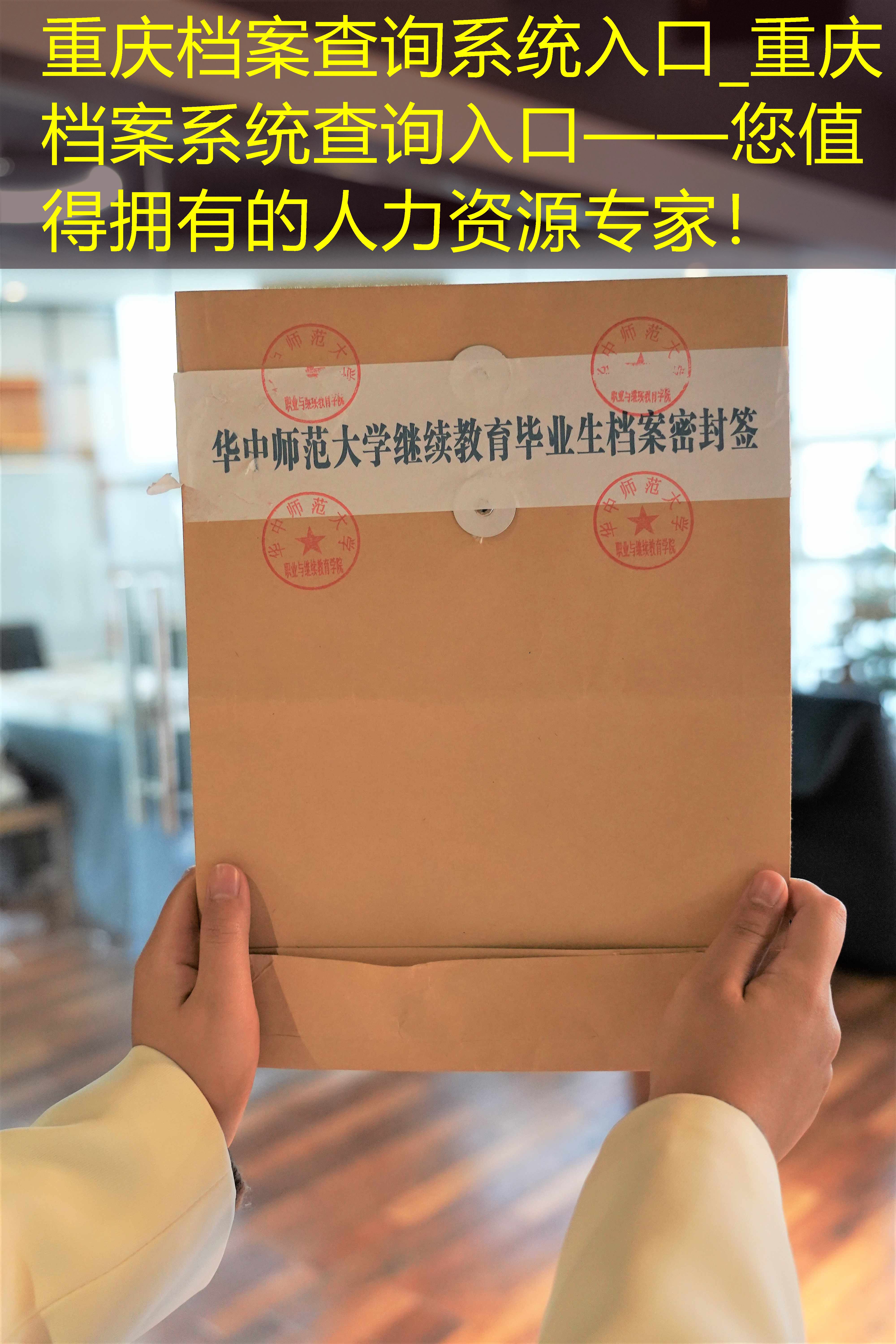 档案查询