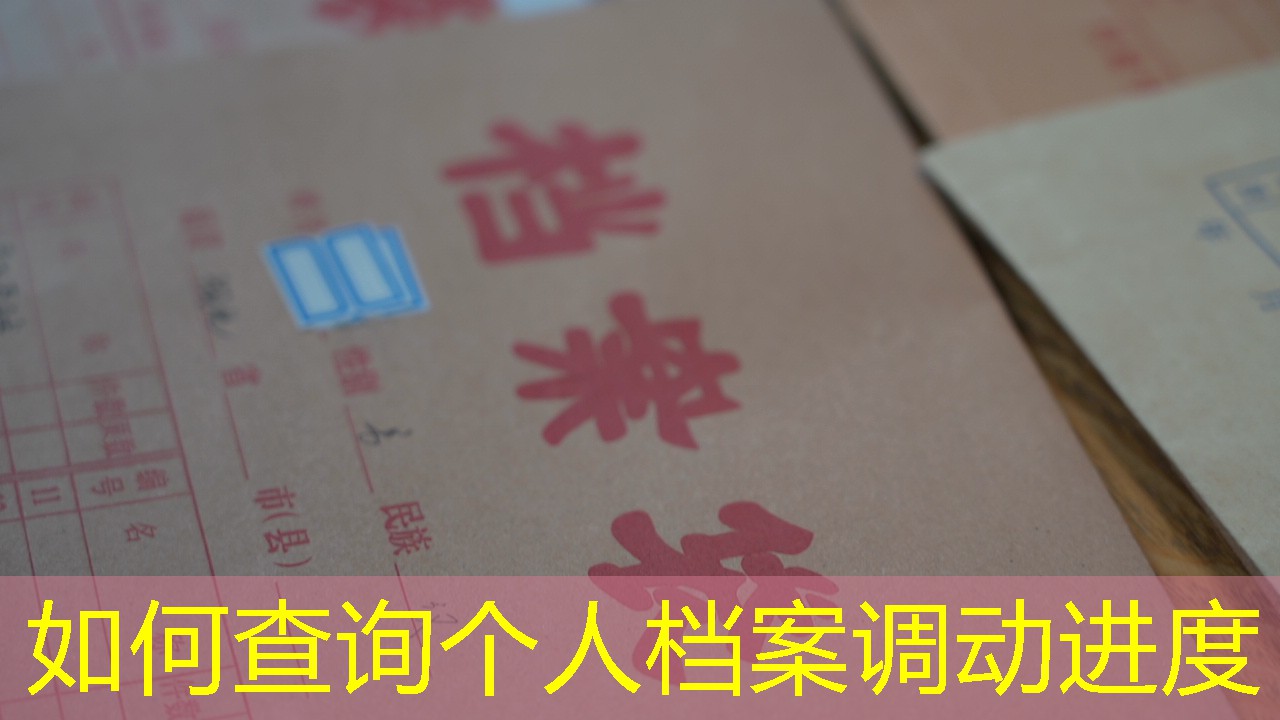 档案查询