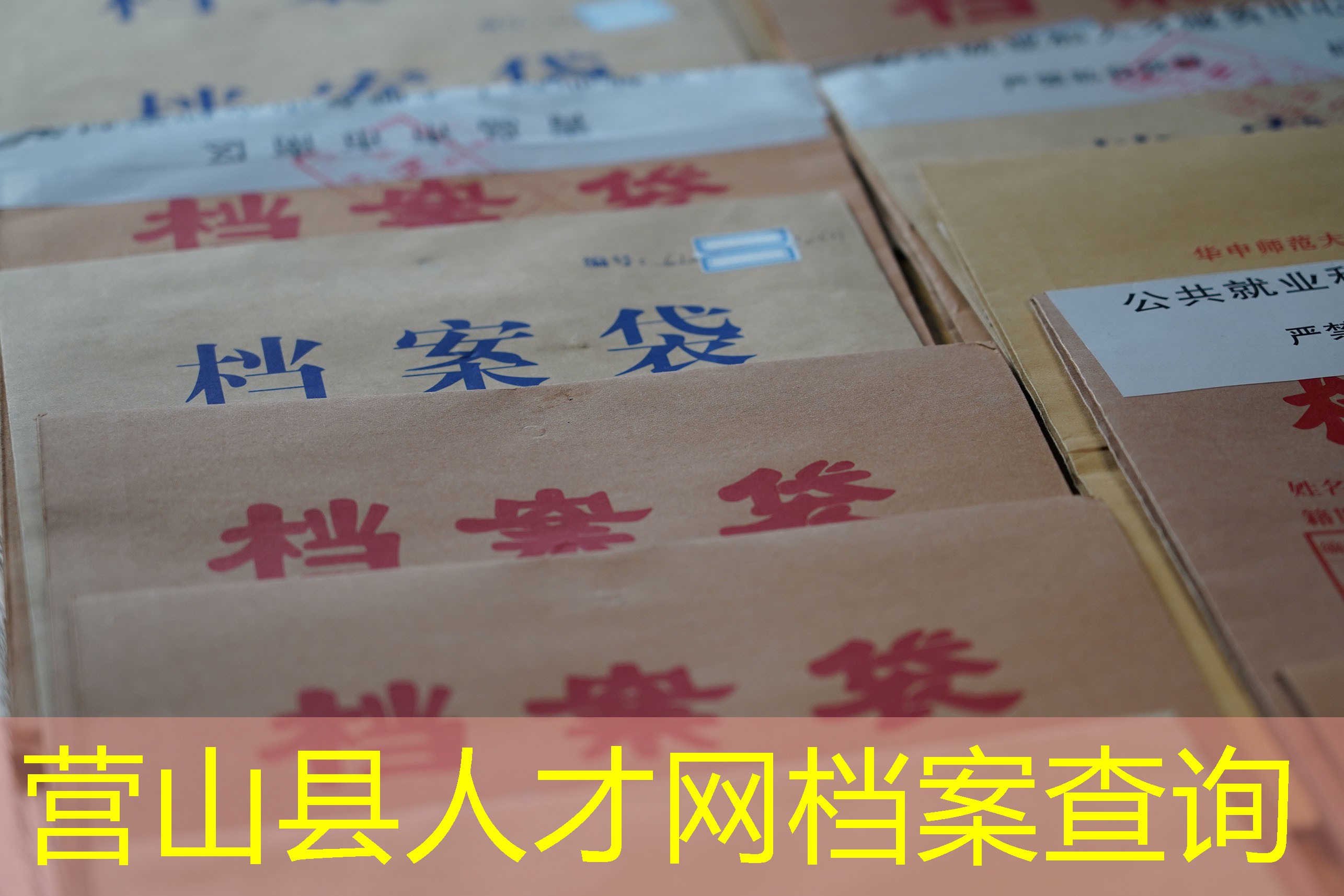 档案查询