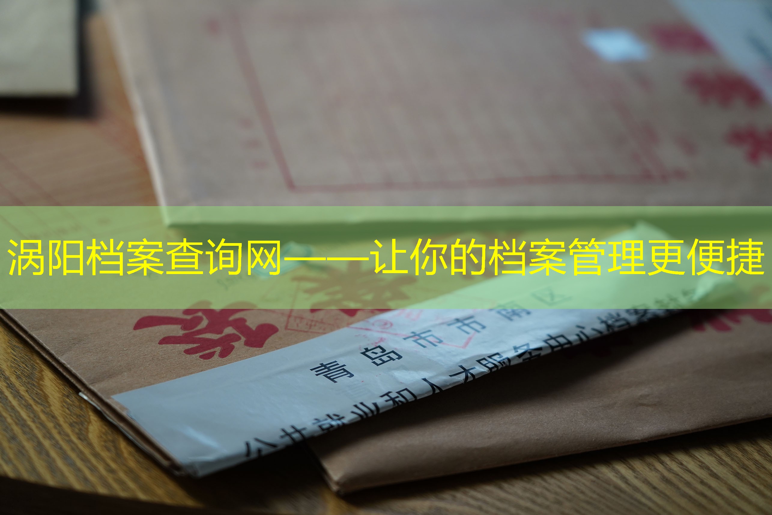 档案查询