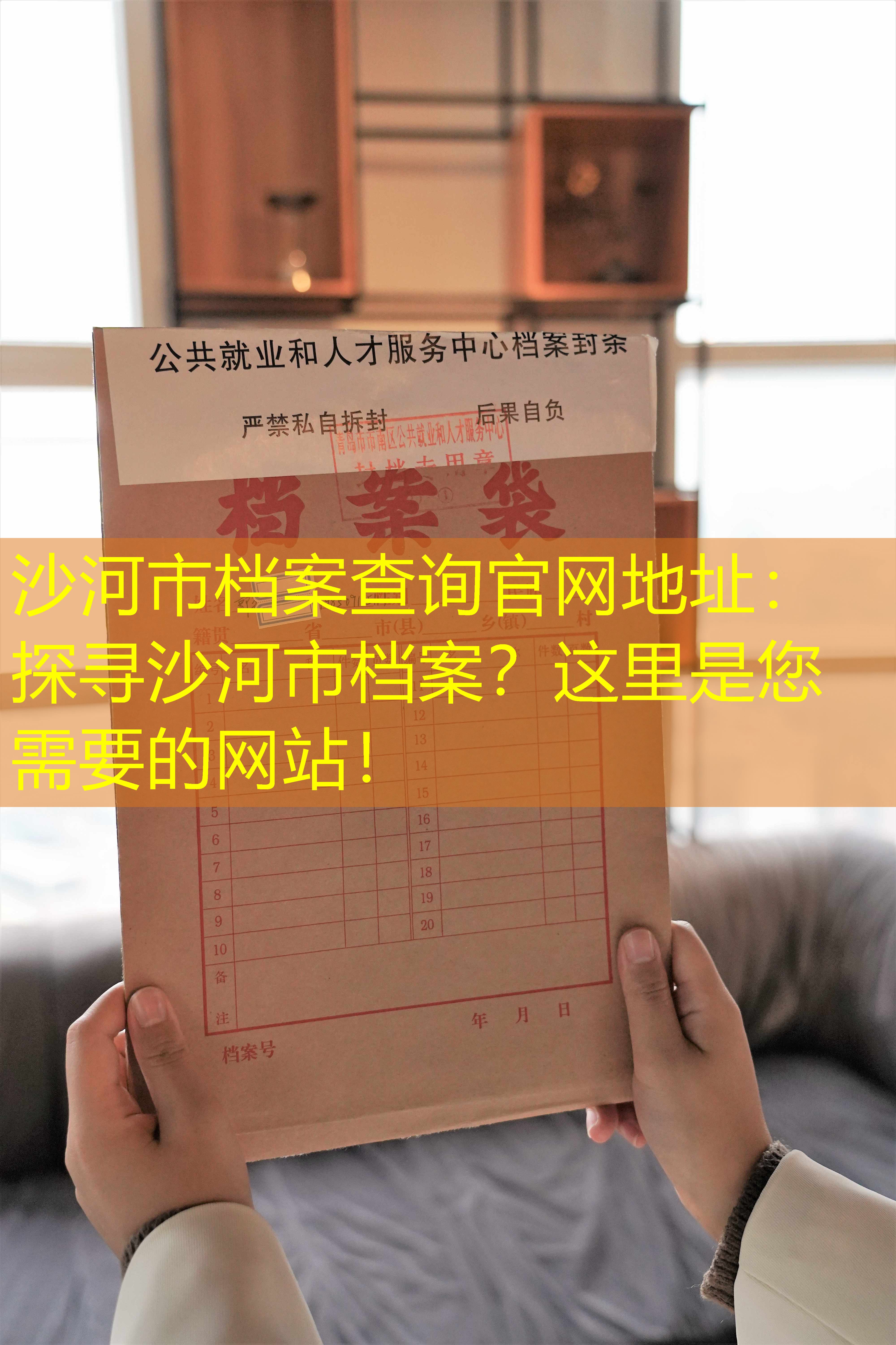 档案查询