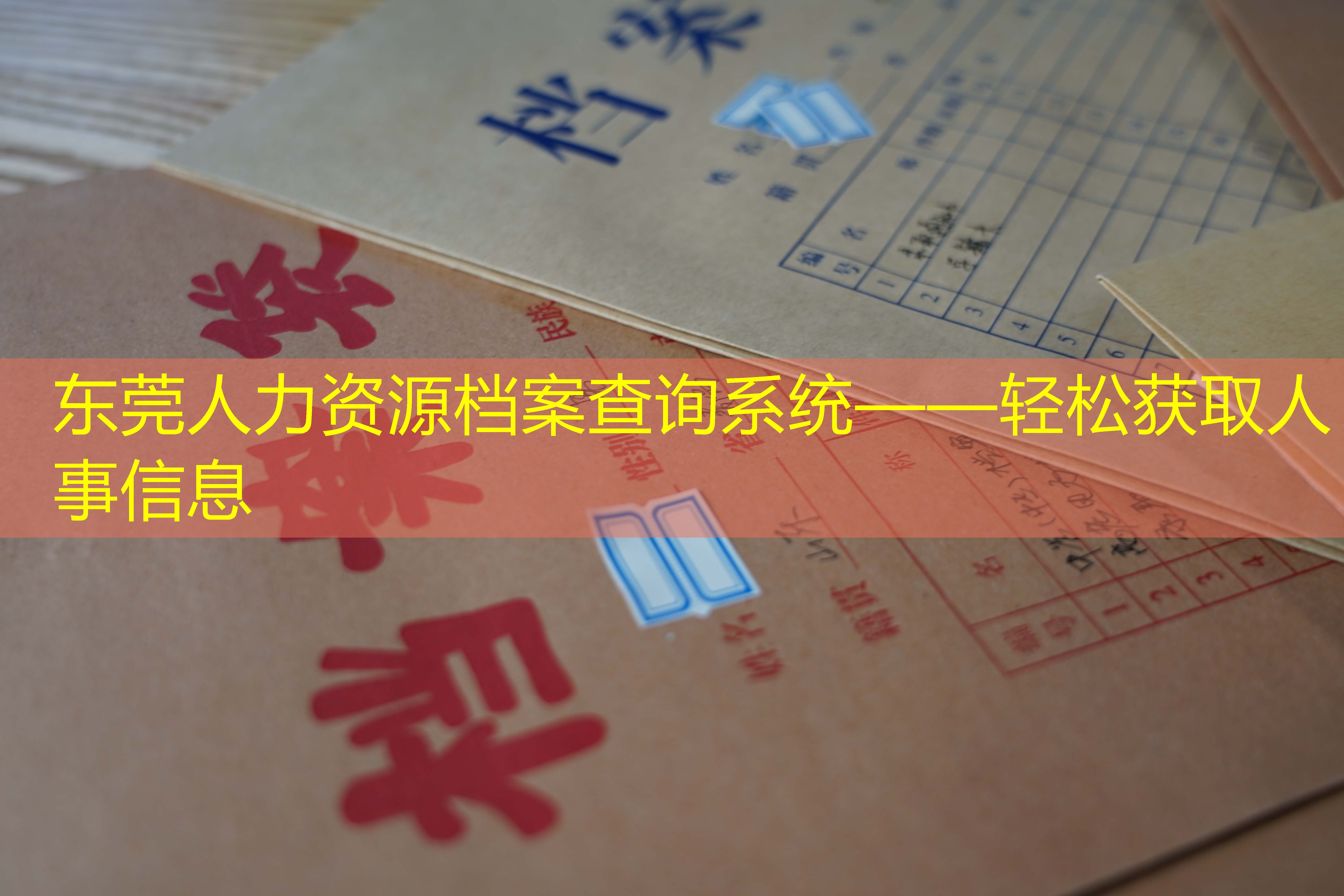 档案查询