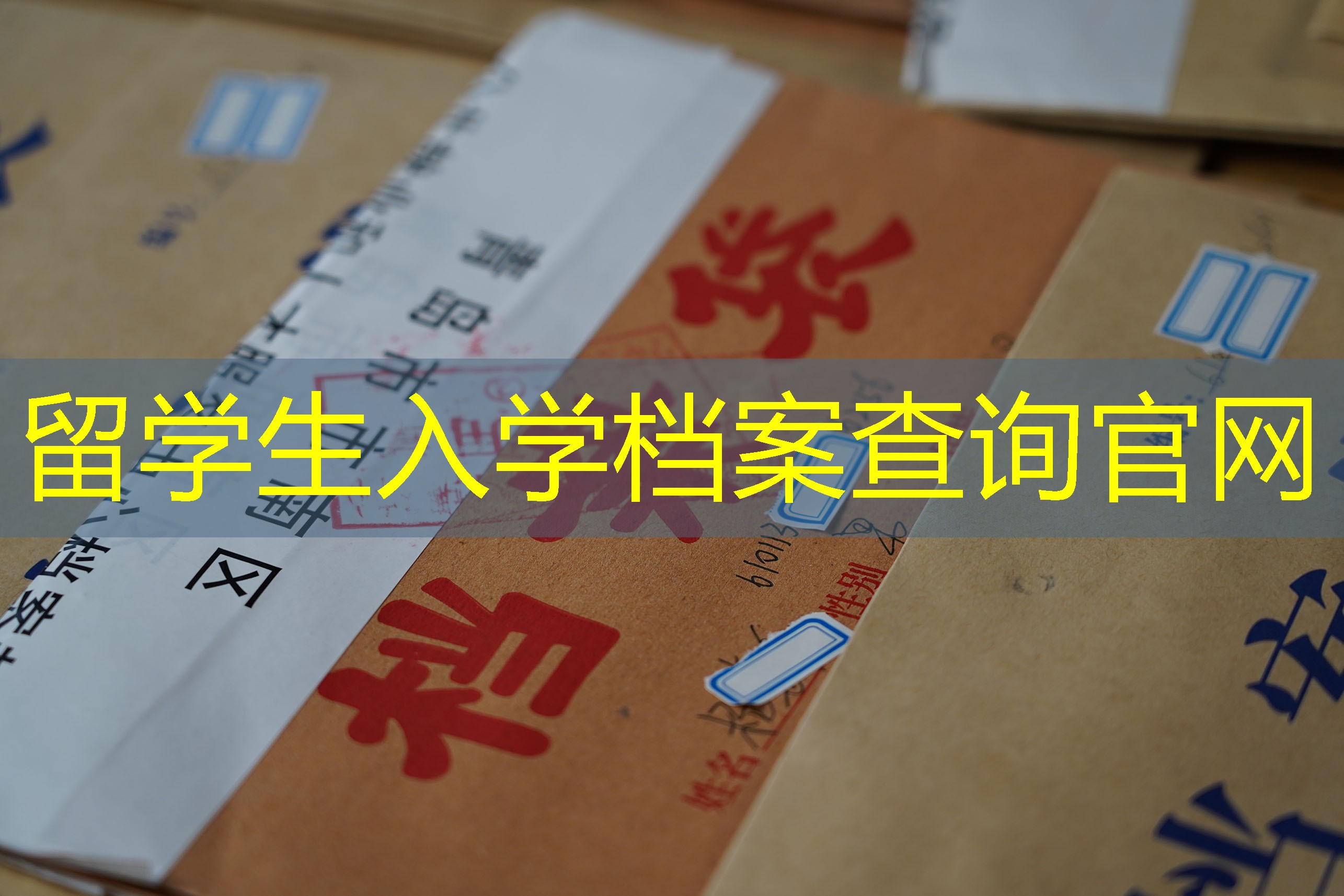 档案查询