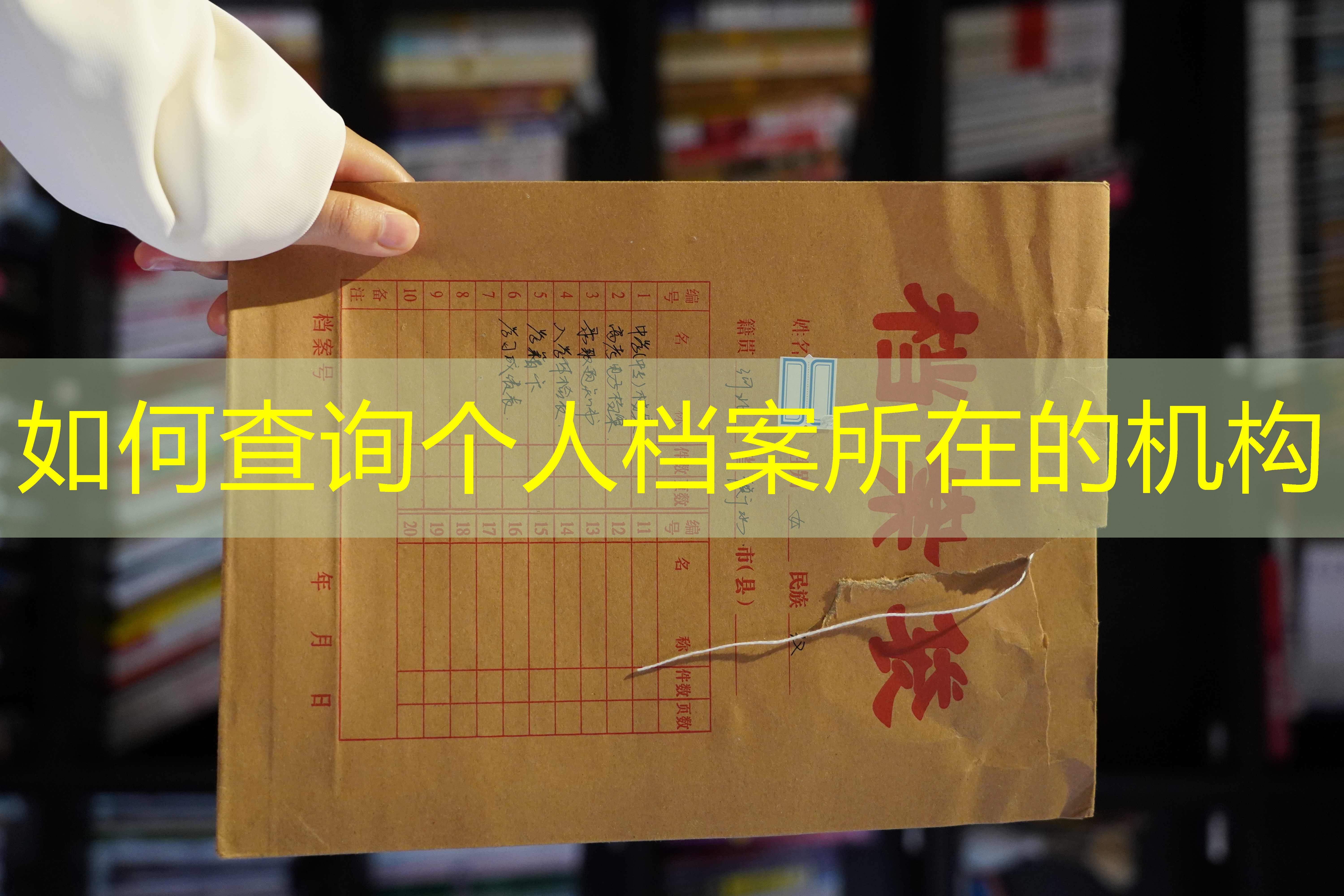 档案查询