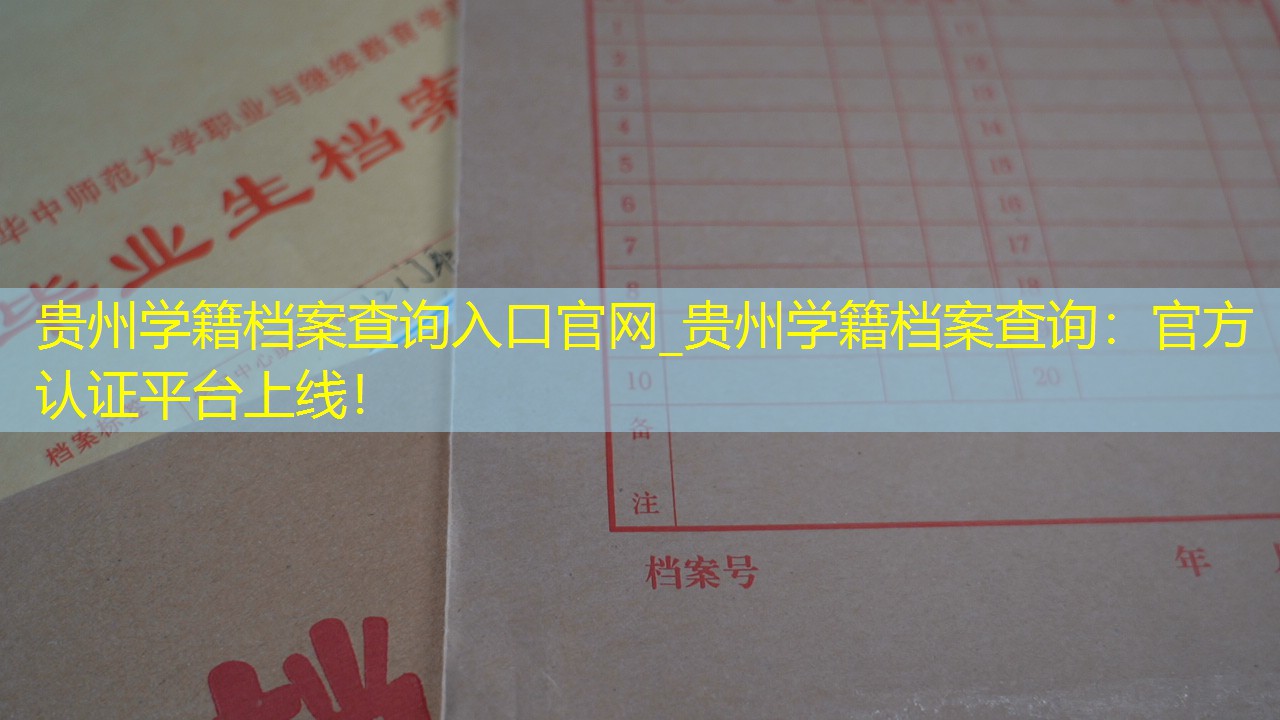 档案查询