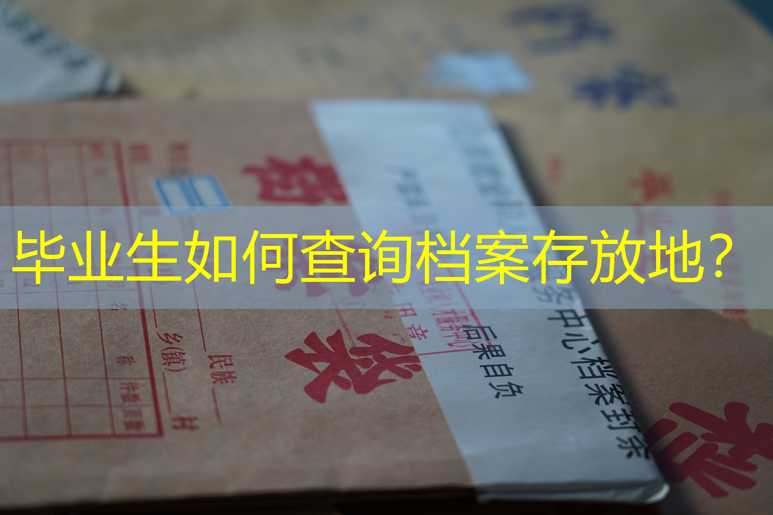 档案查询