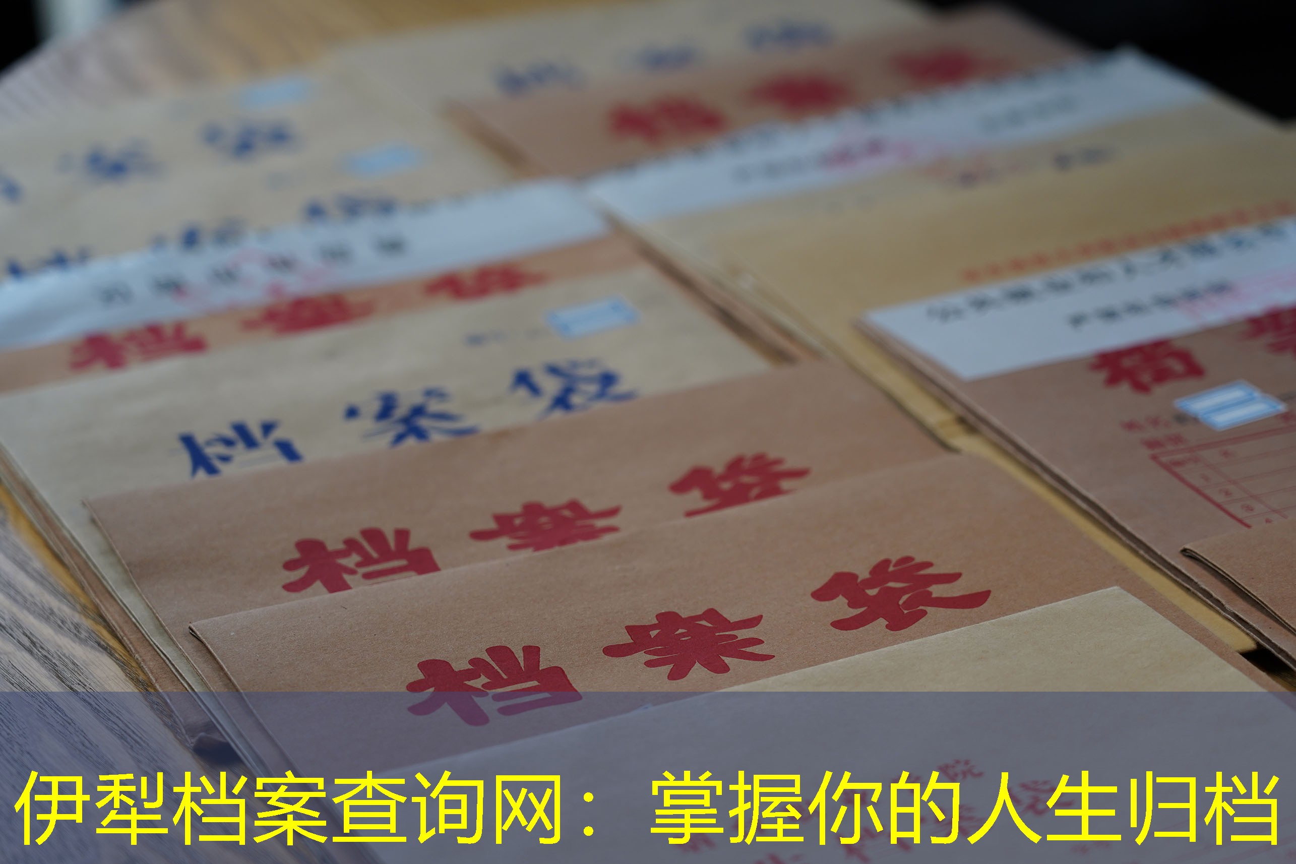 档案查询