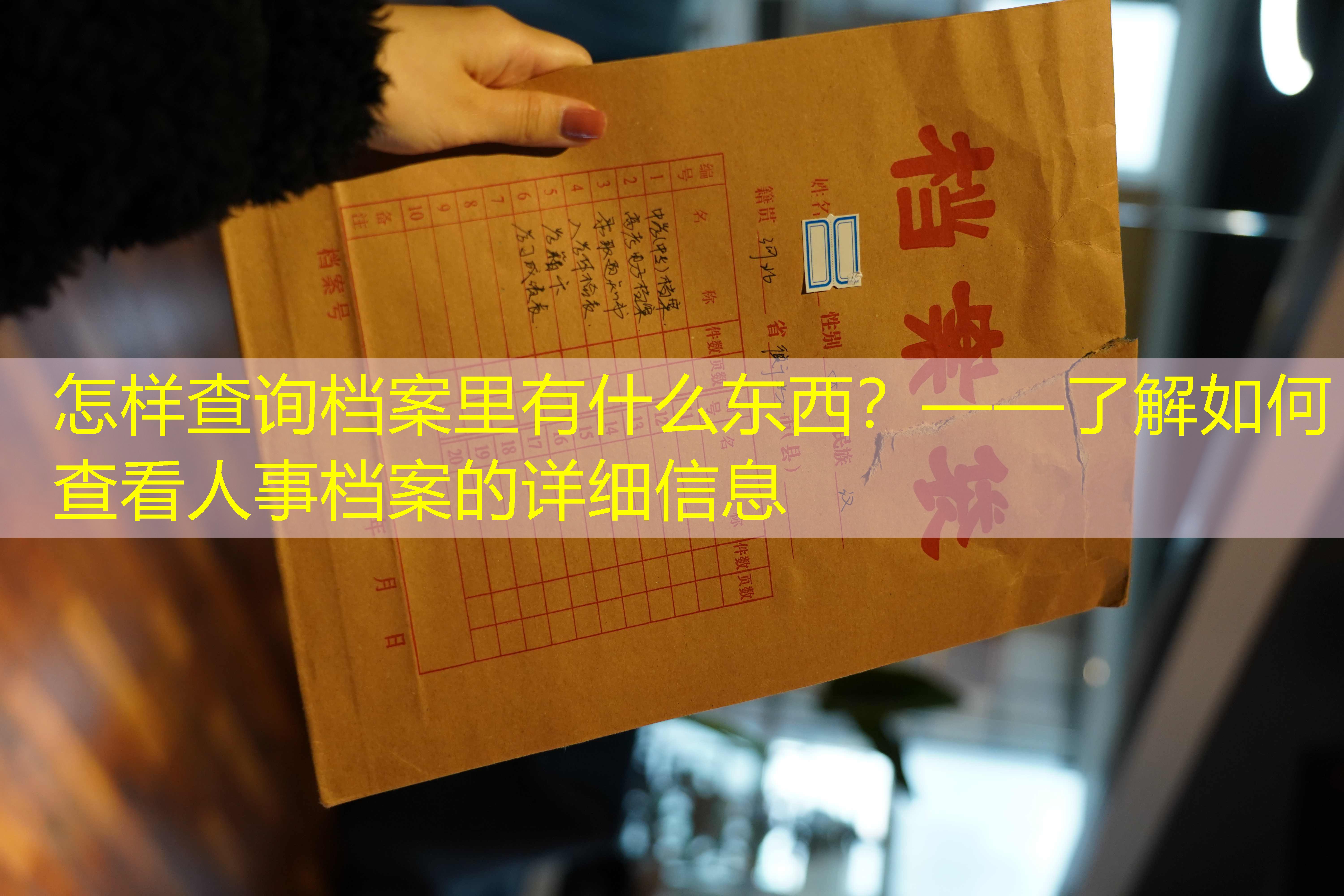 档案查询