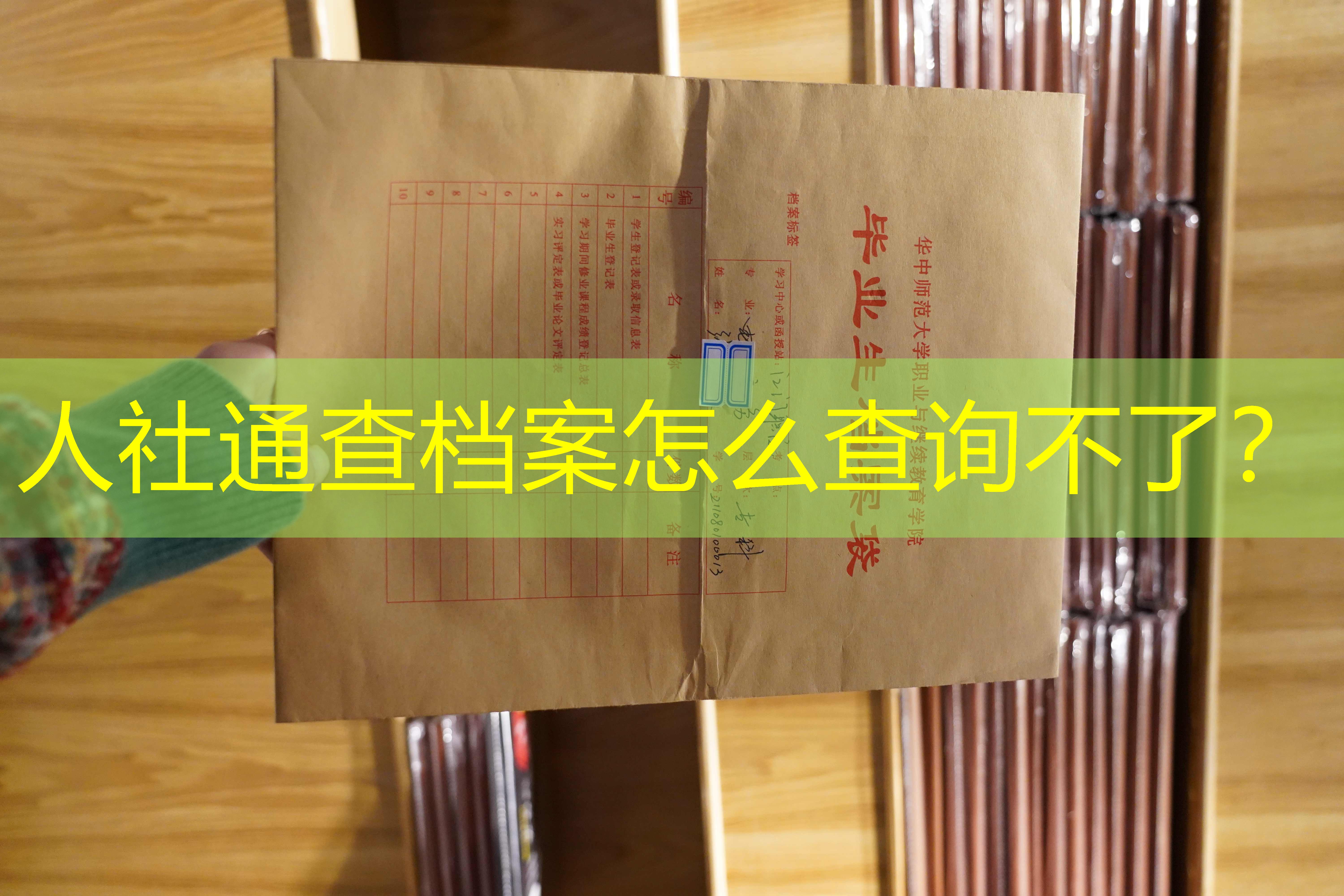 档案查询