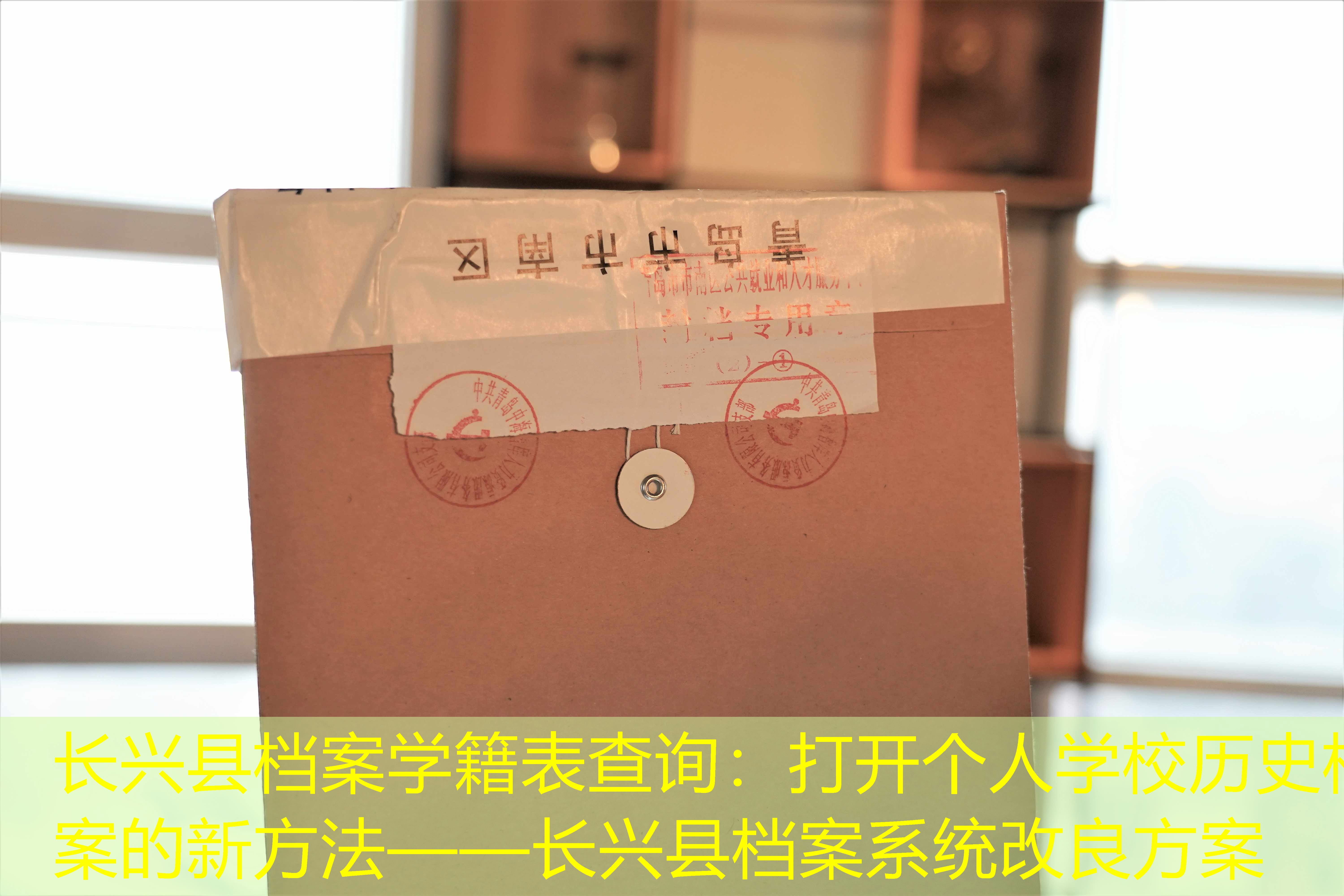 档案查询