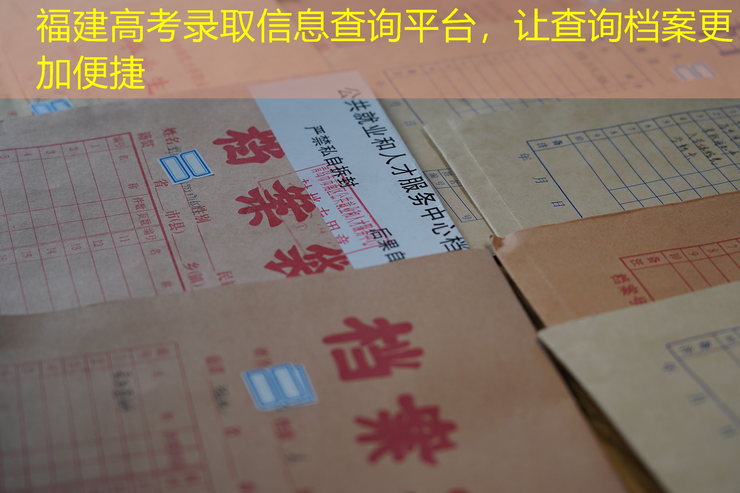 档案查询