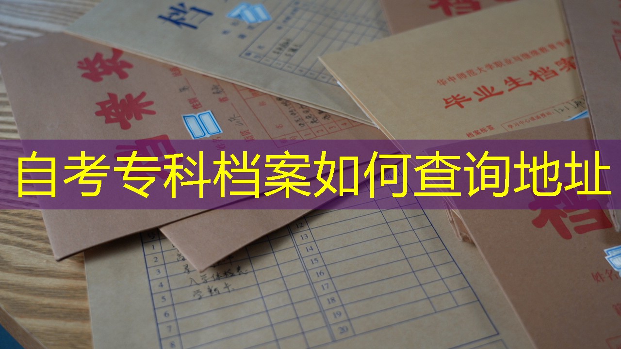 档案查询