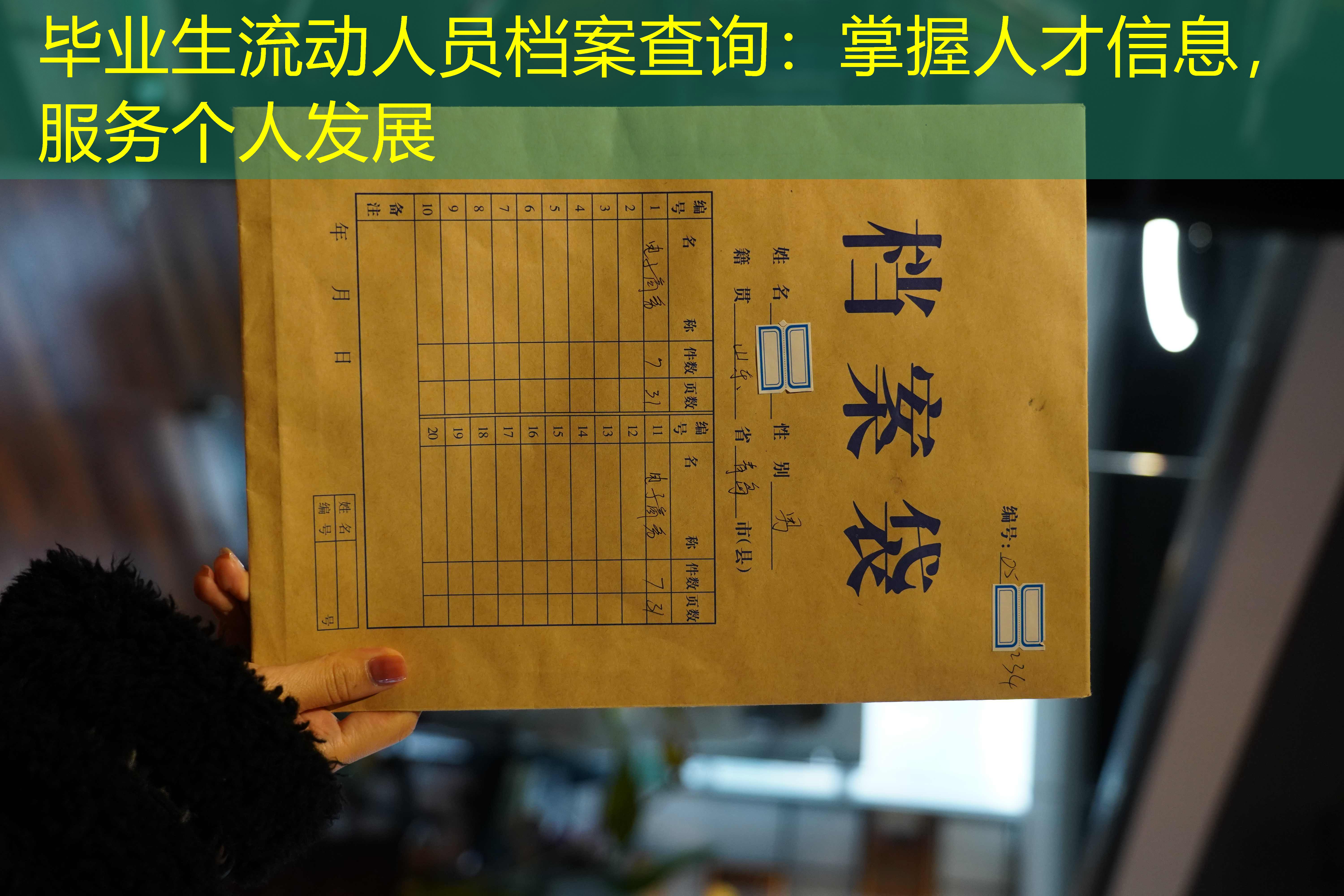 档案查询