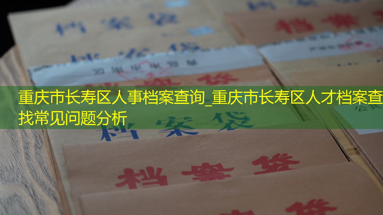 档案查询