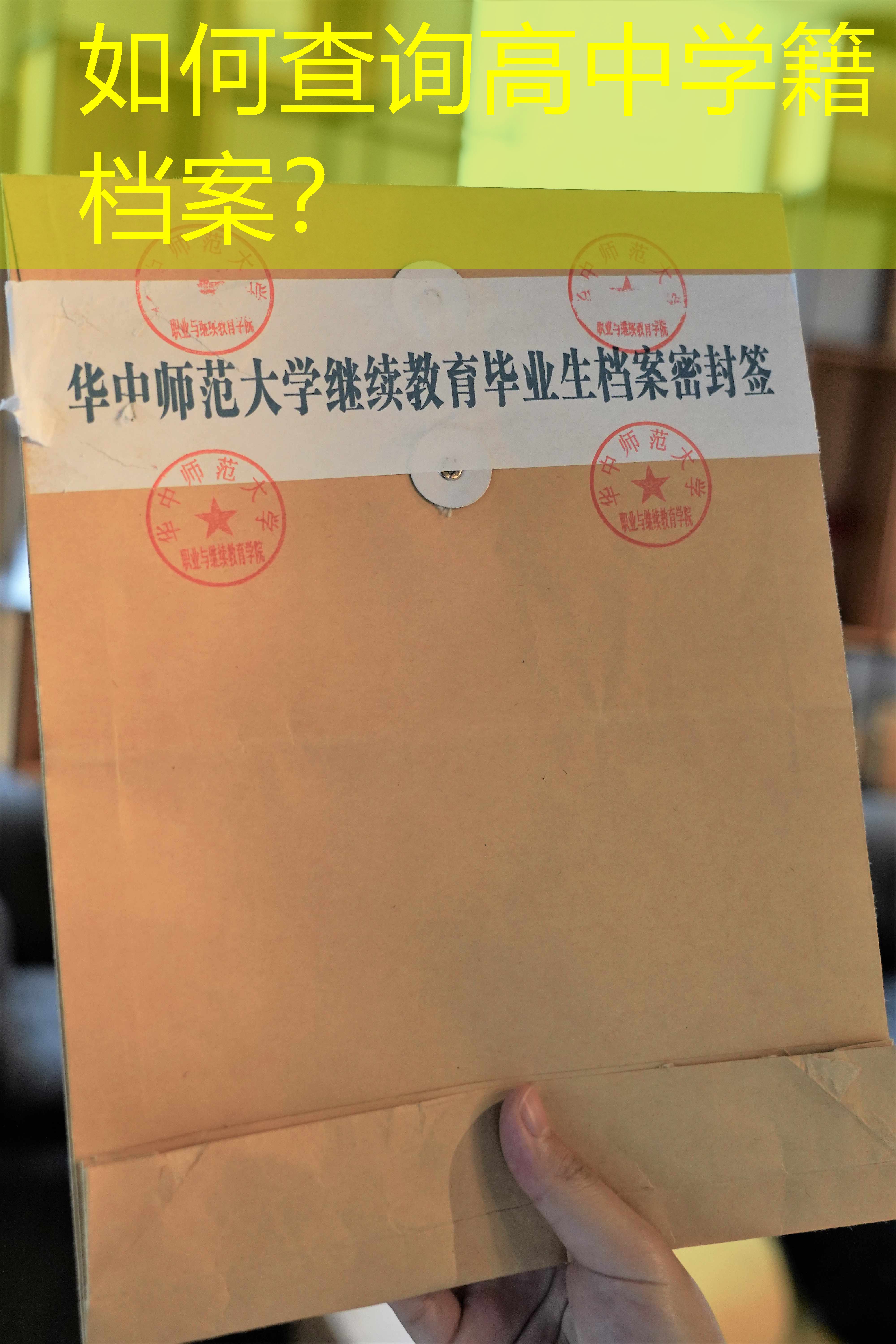 档案查询