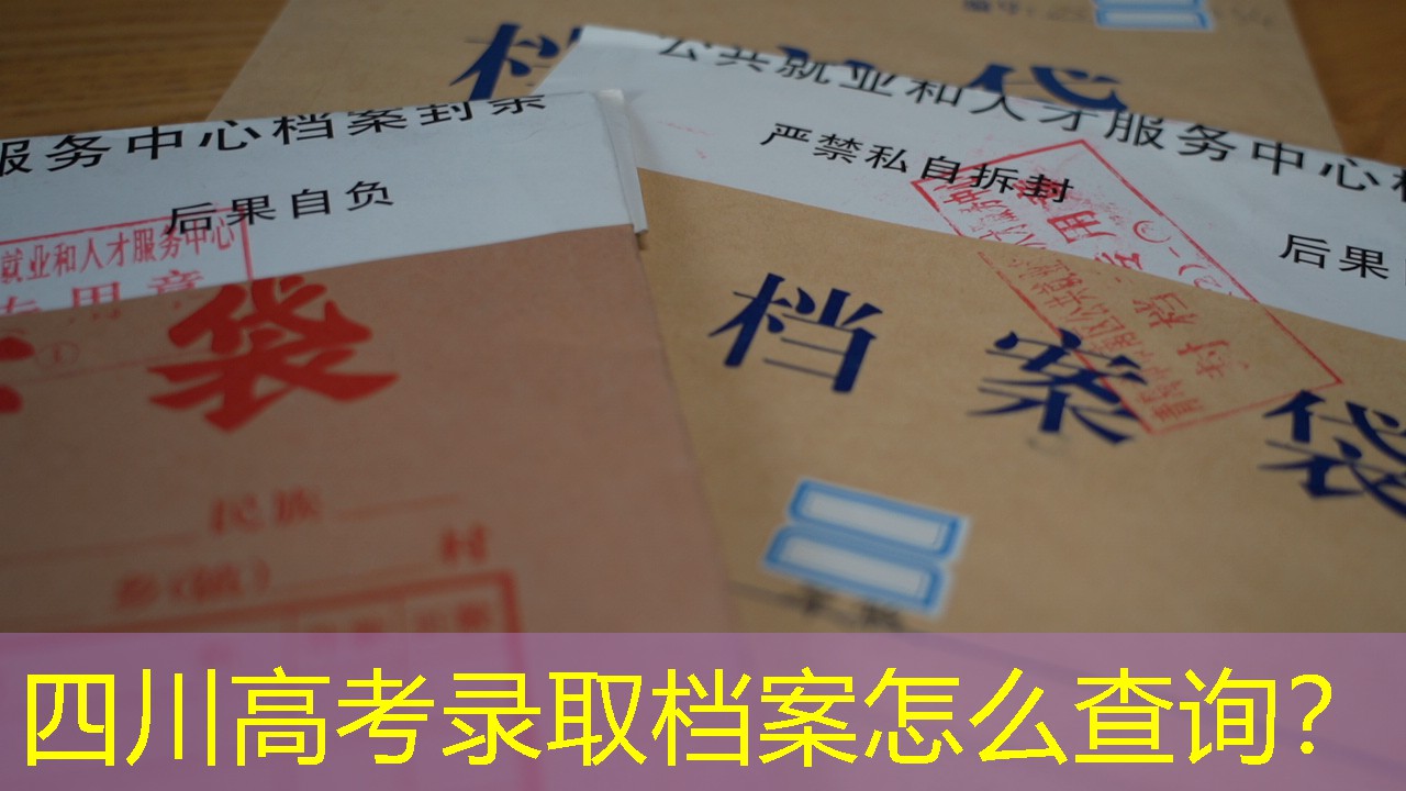 档案查询