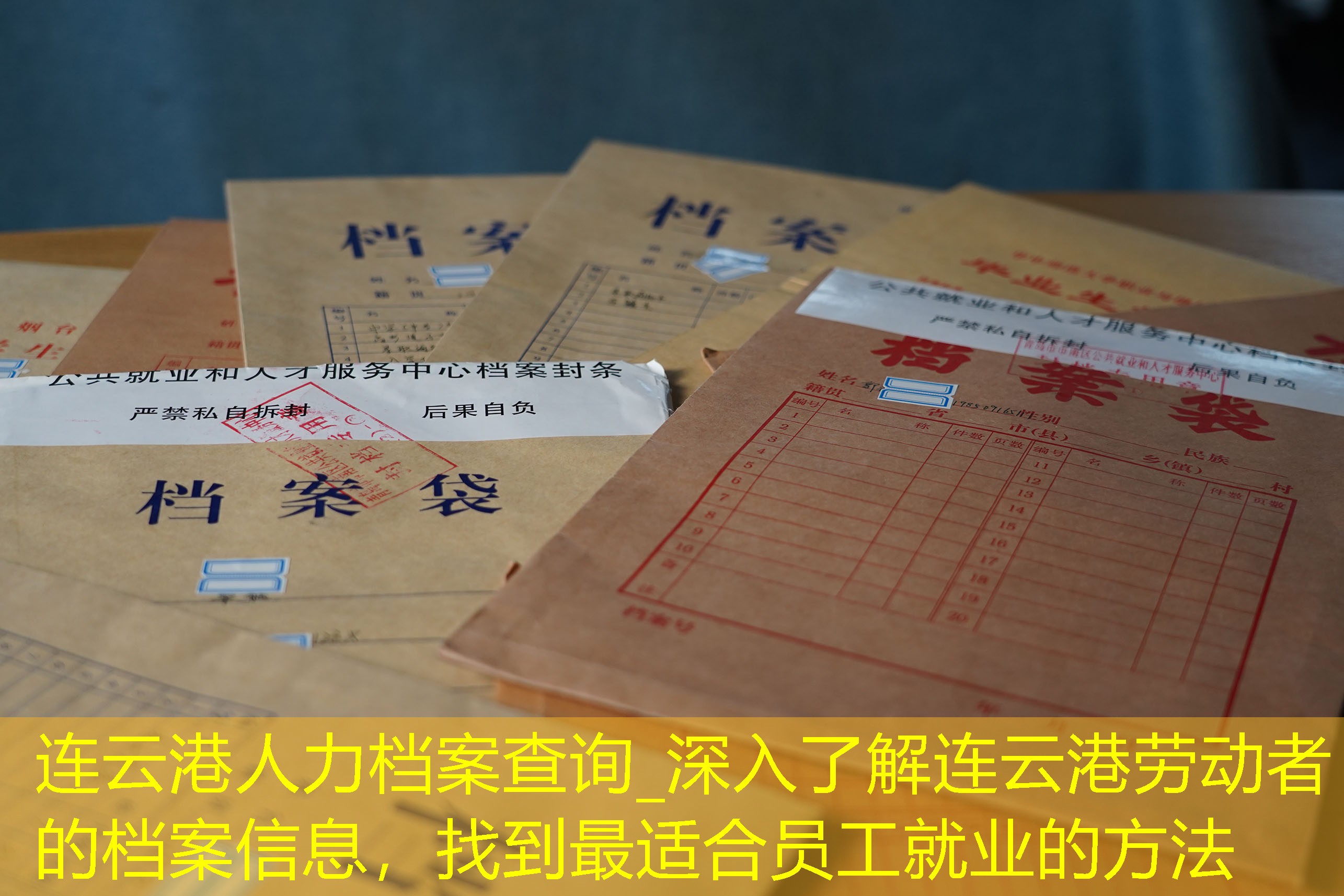 档案查询