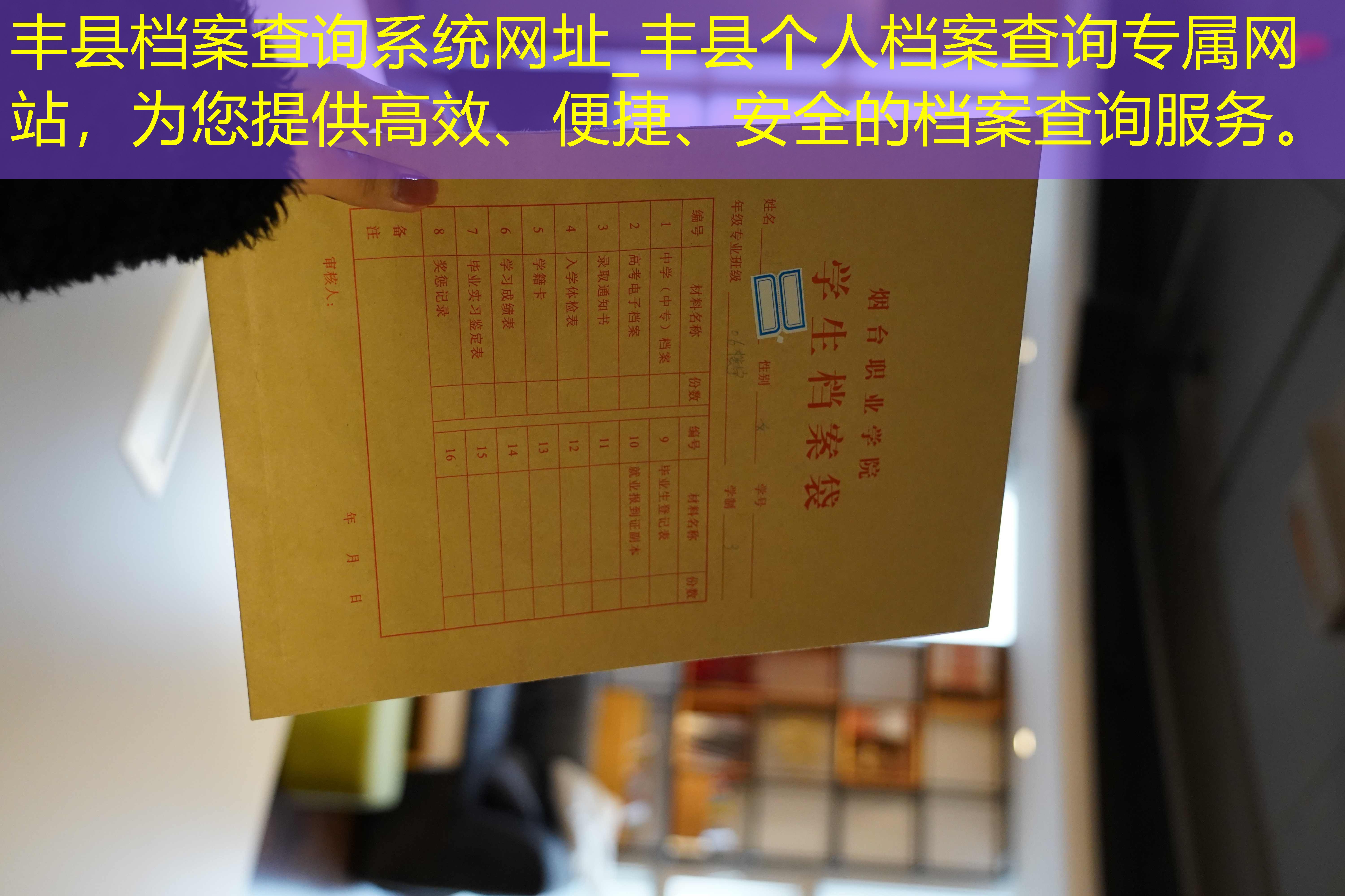 档案查询