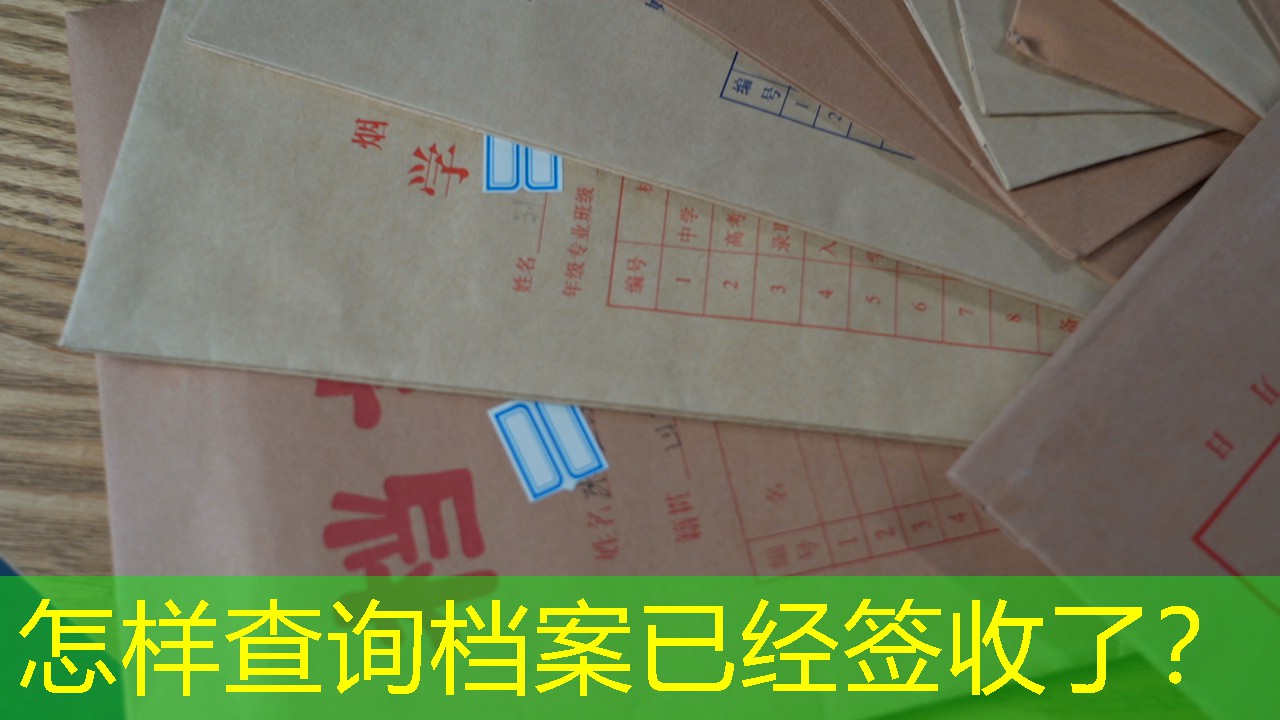 档案查询