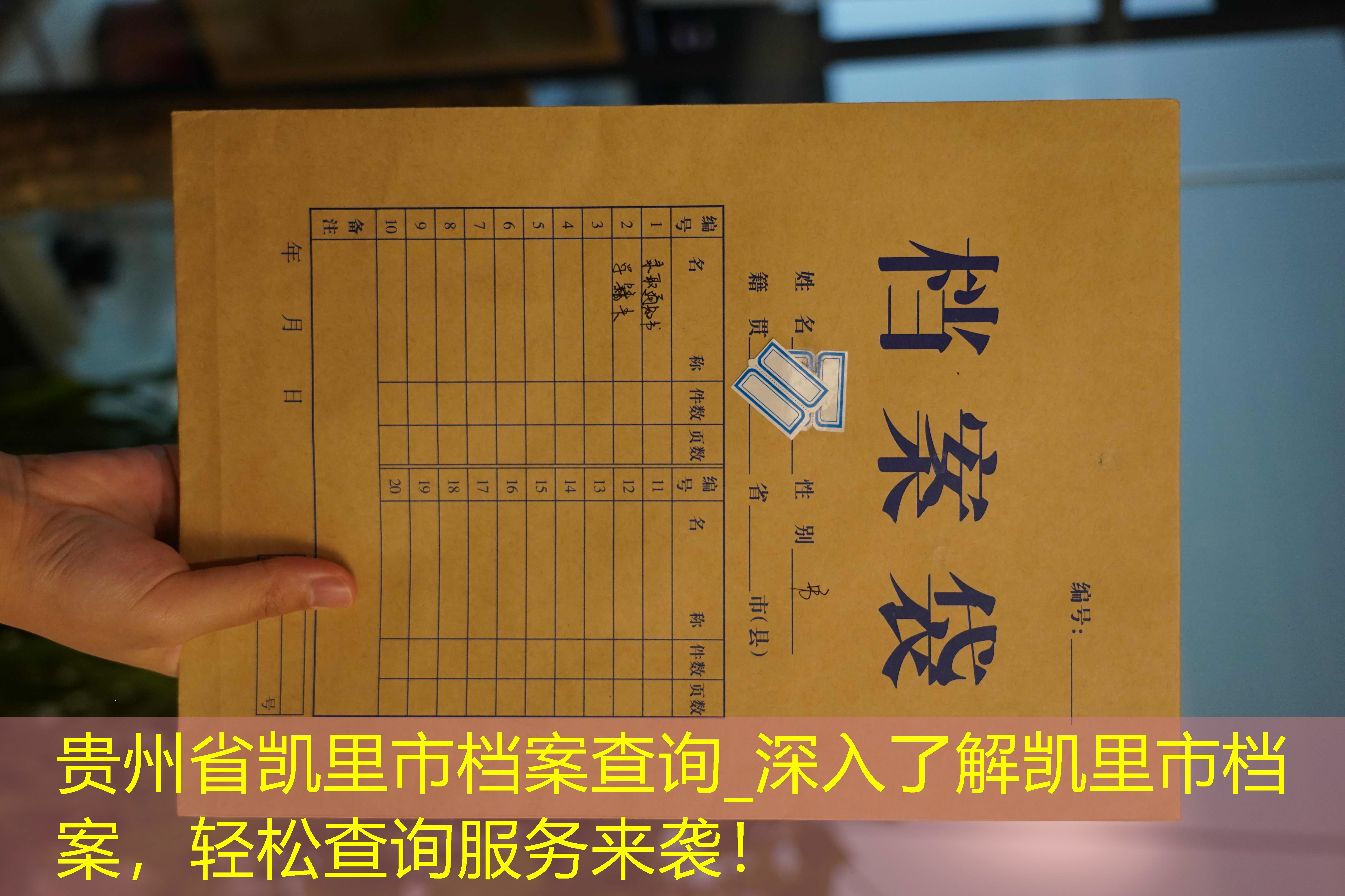 档案查询
