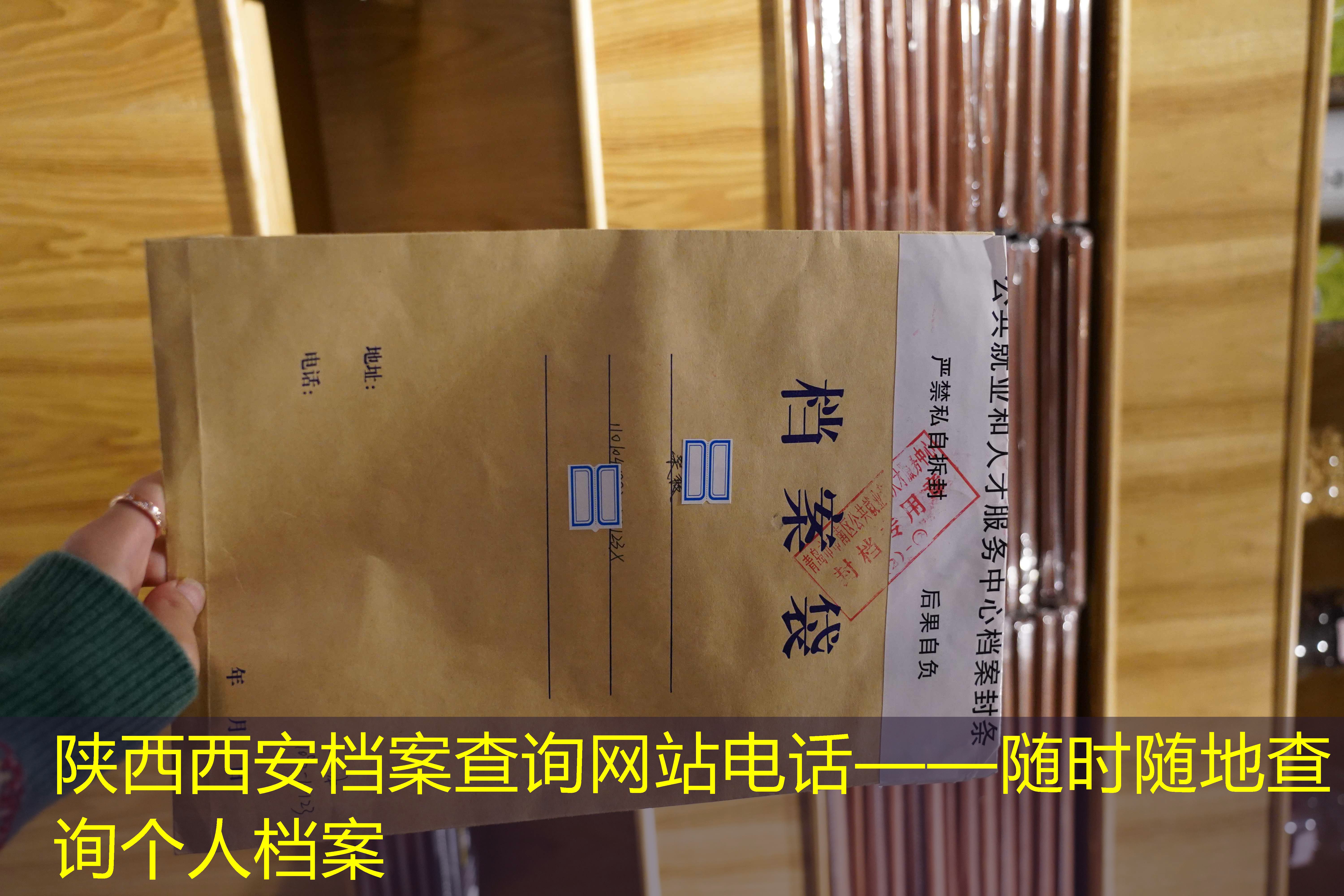 档案查询