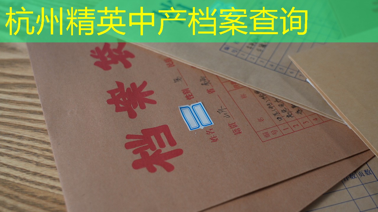 档案查询