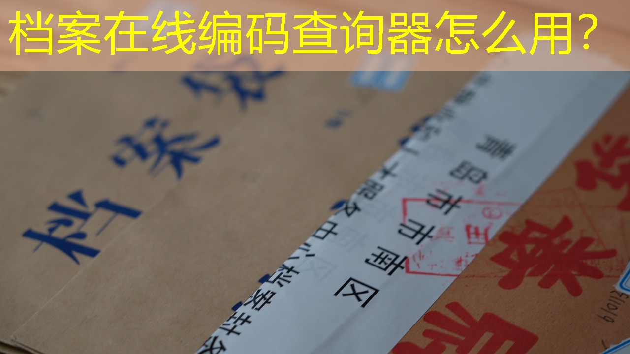 档案查询