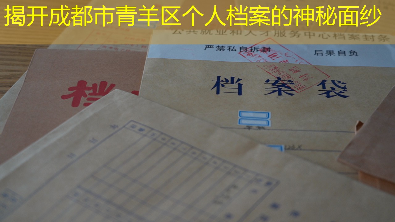 档案查询