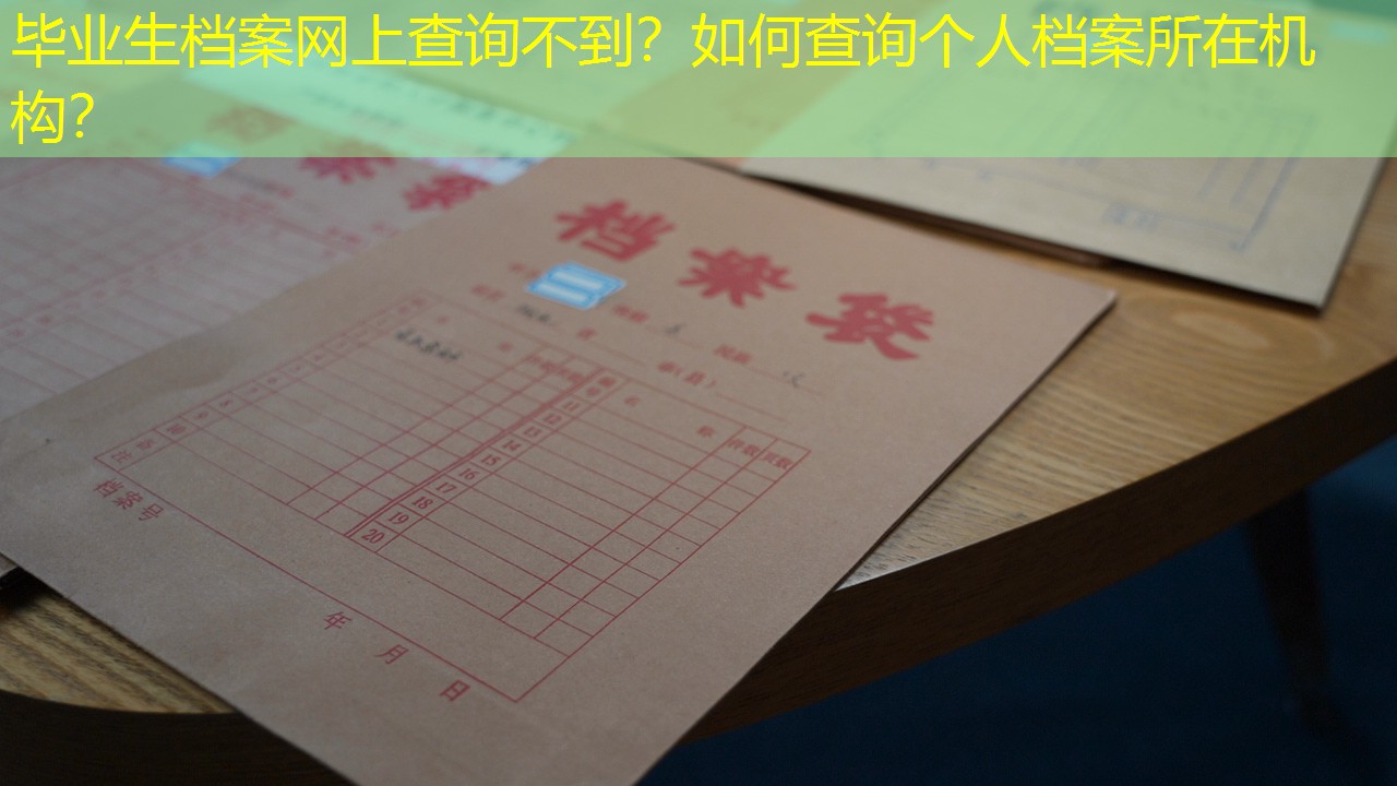 档案查询