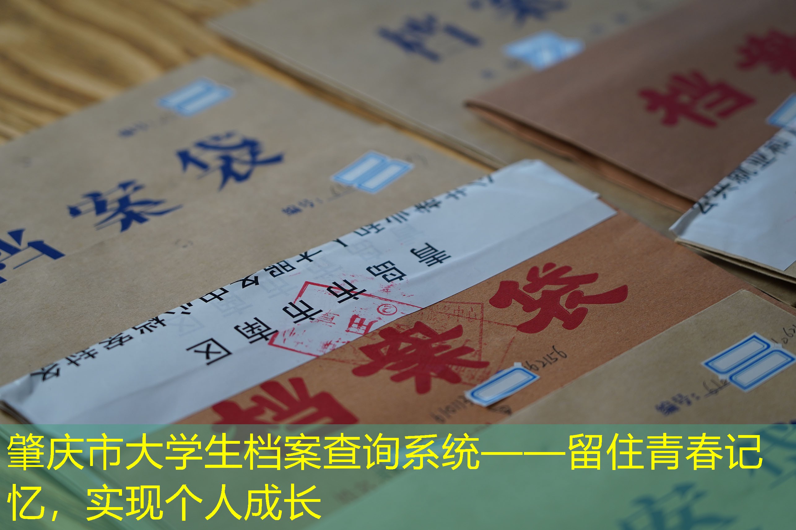 档案查询
