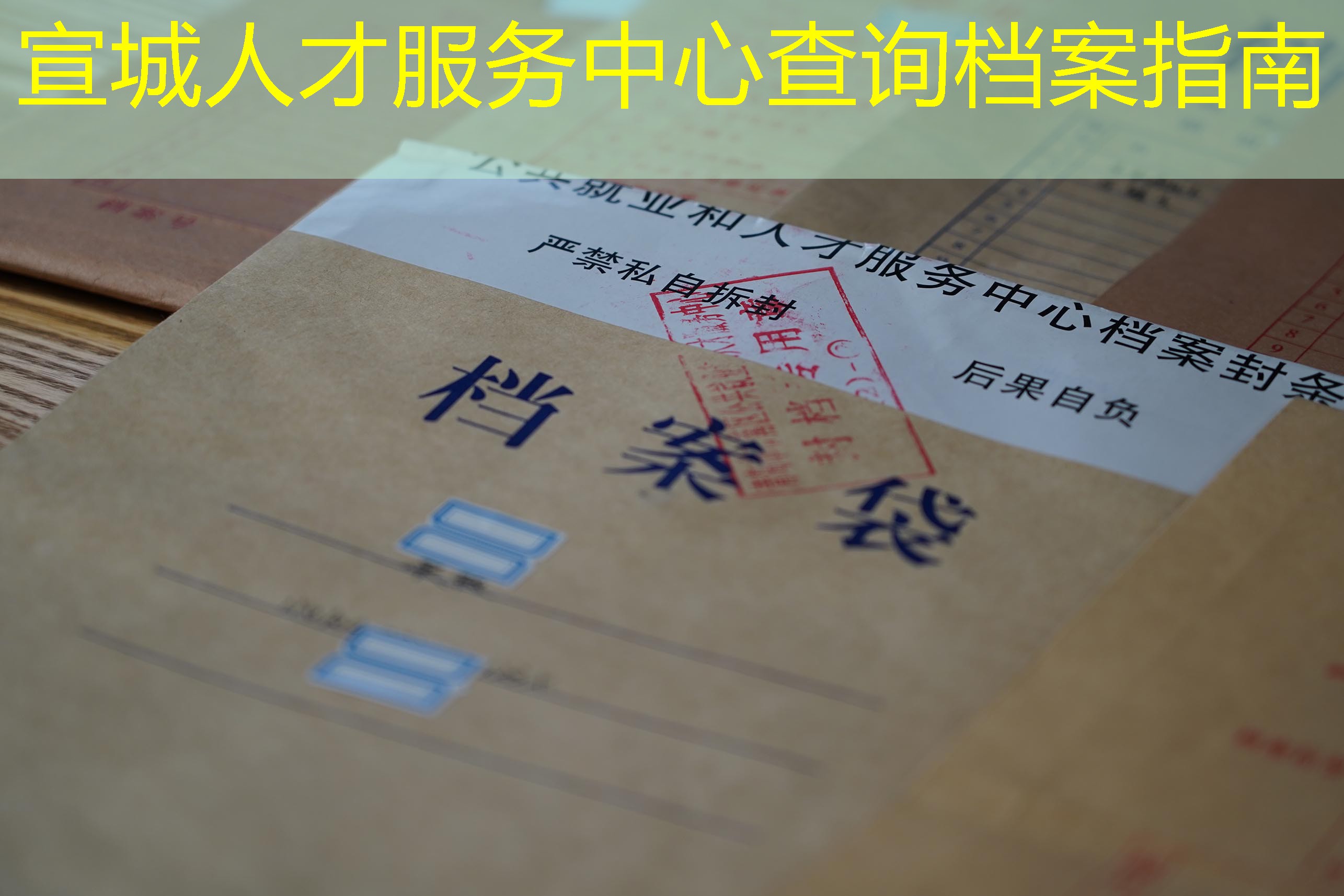 档案查询