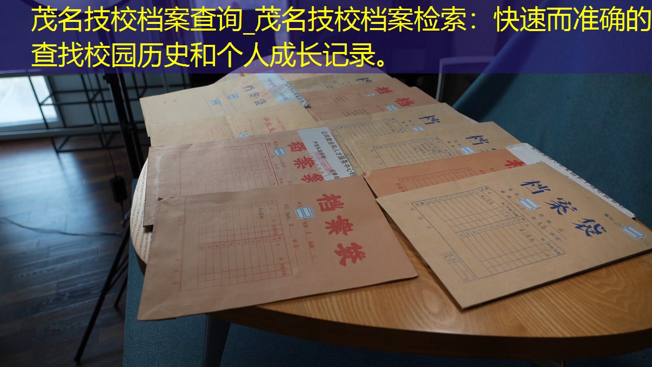 档案查询