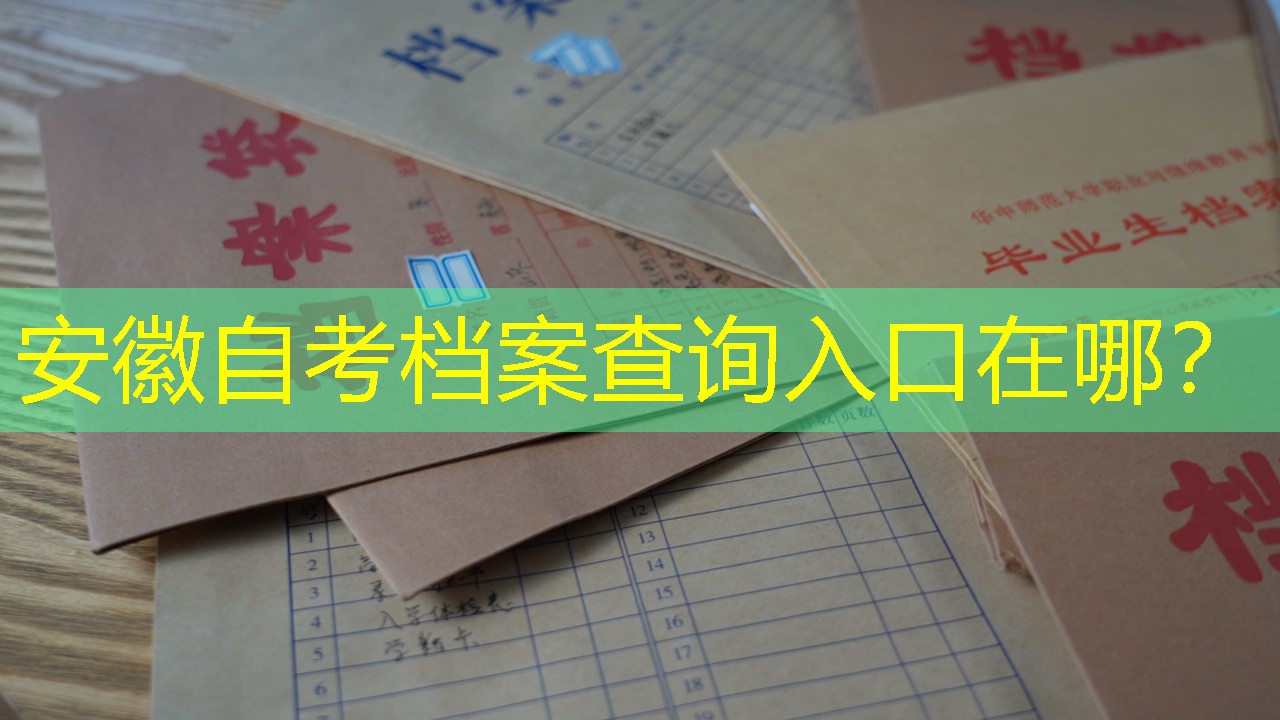 档案查询