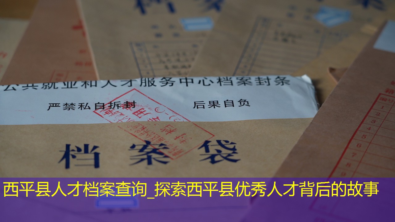档案查询
