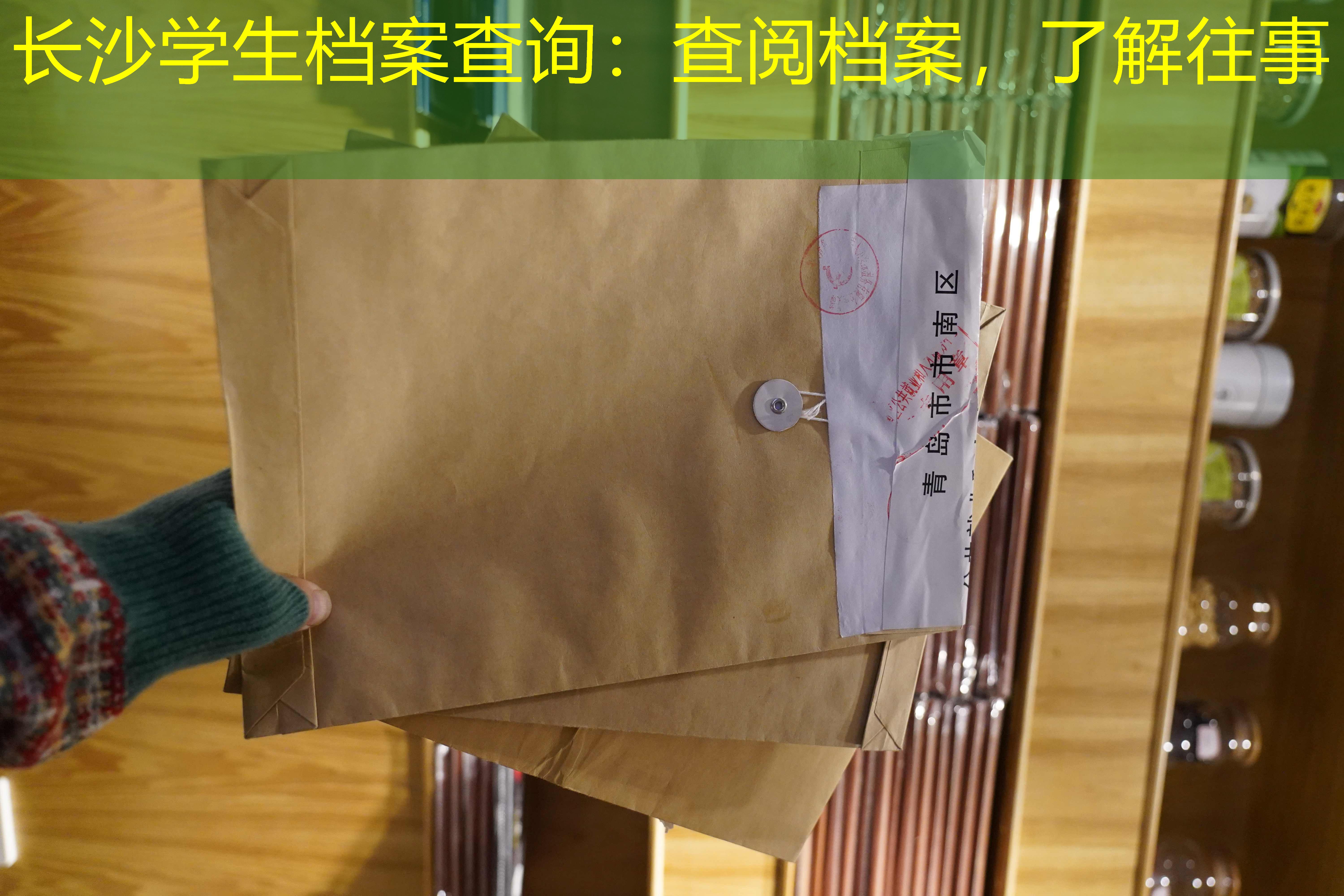 档案查询