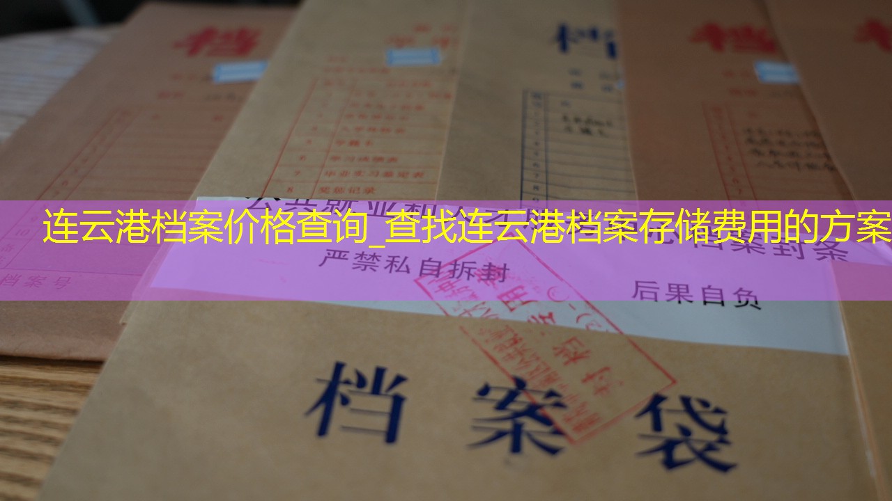 档案查询