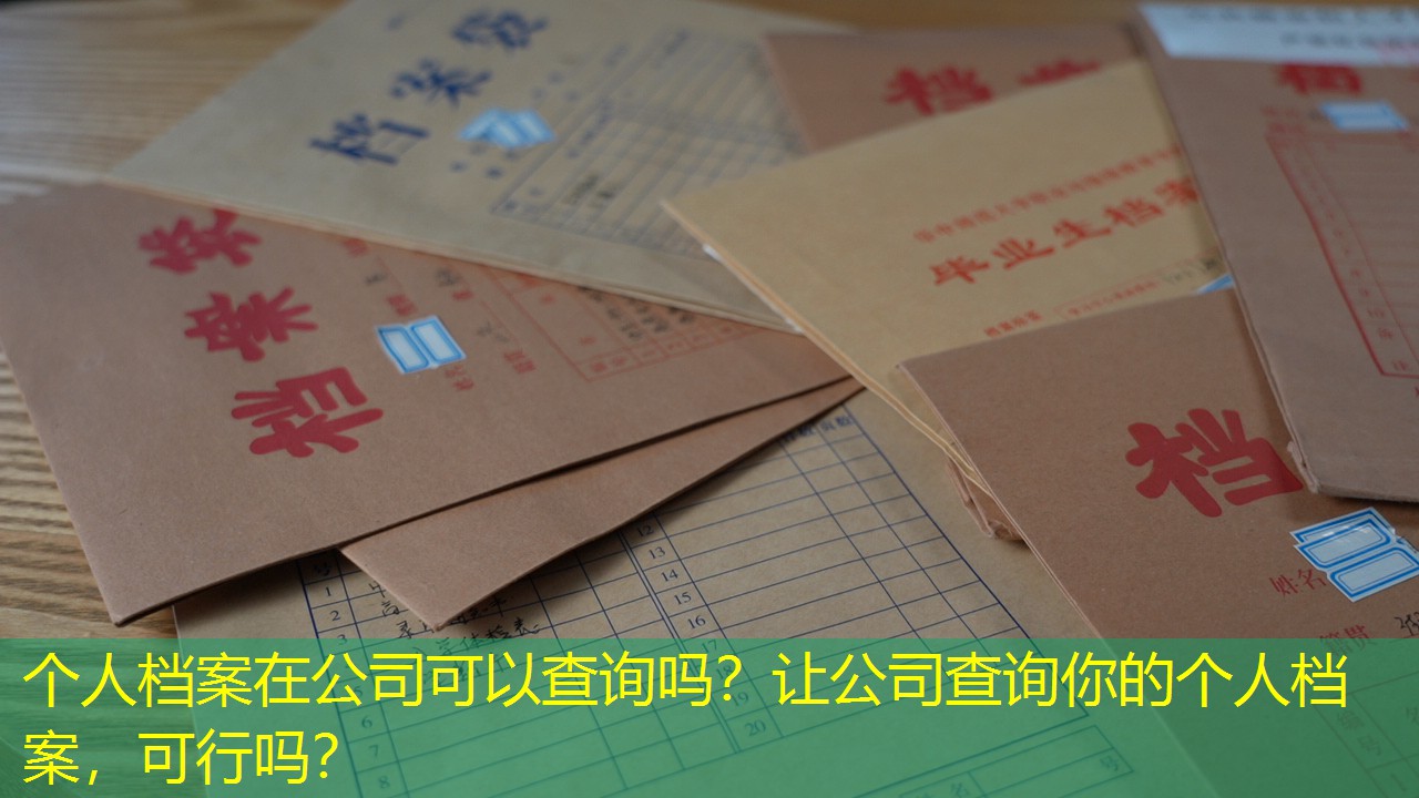 档案查询