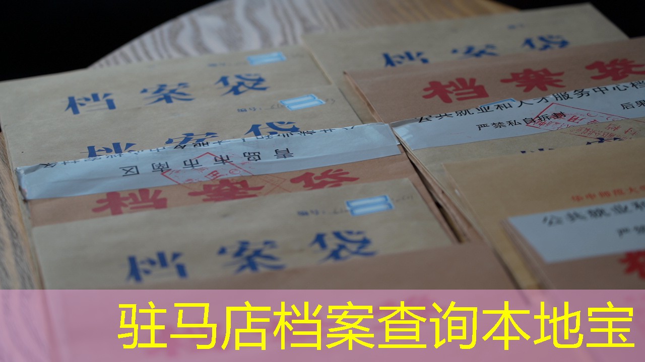 档案查询