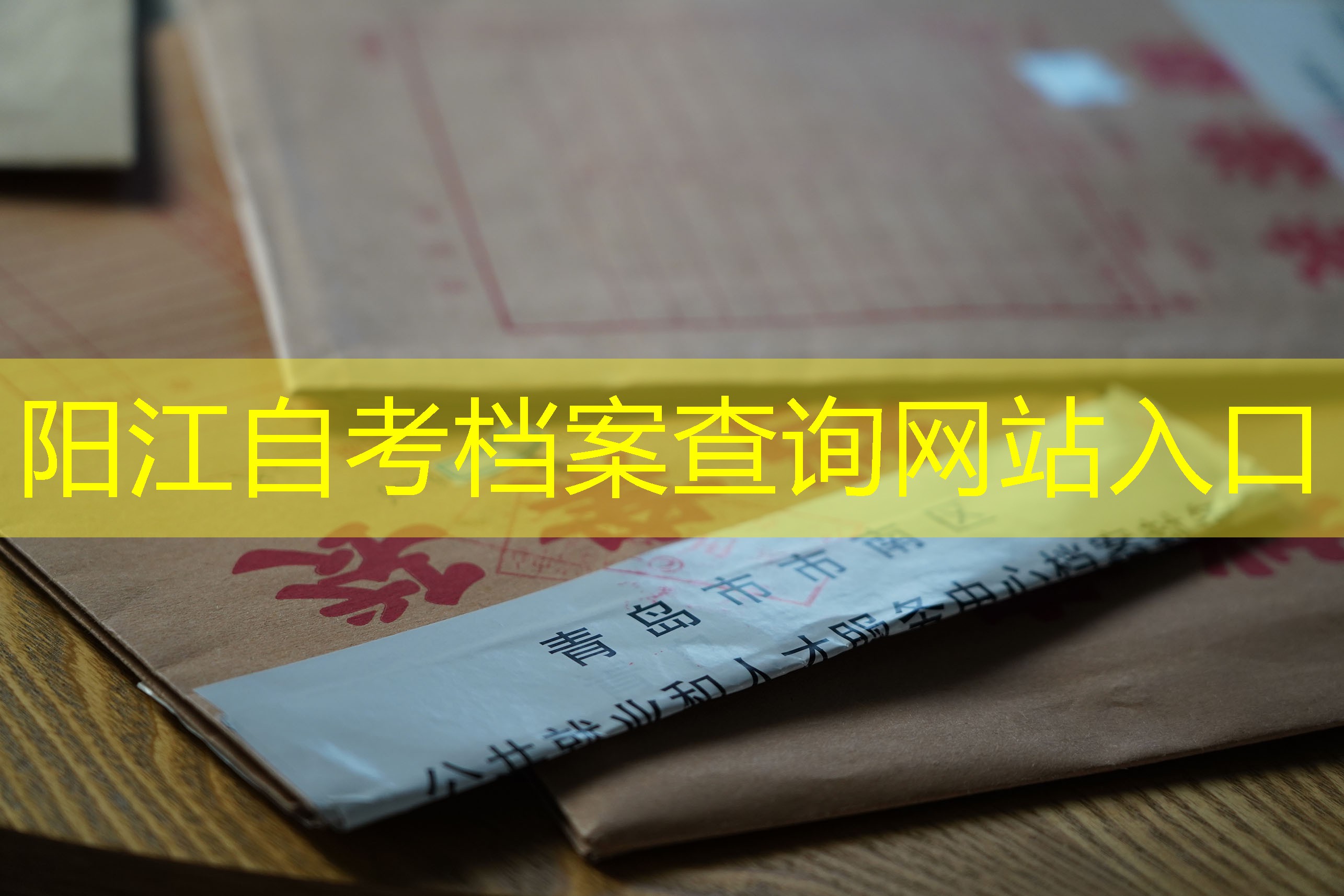 档案查询