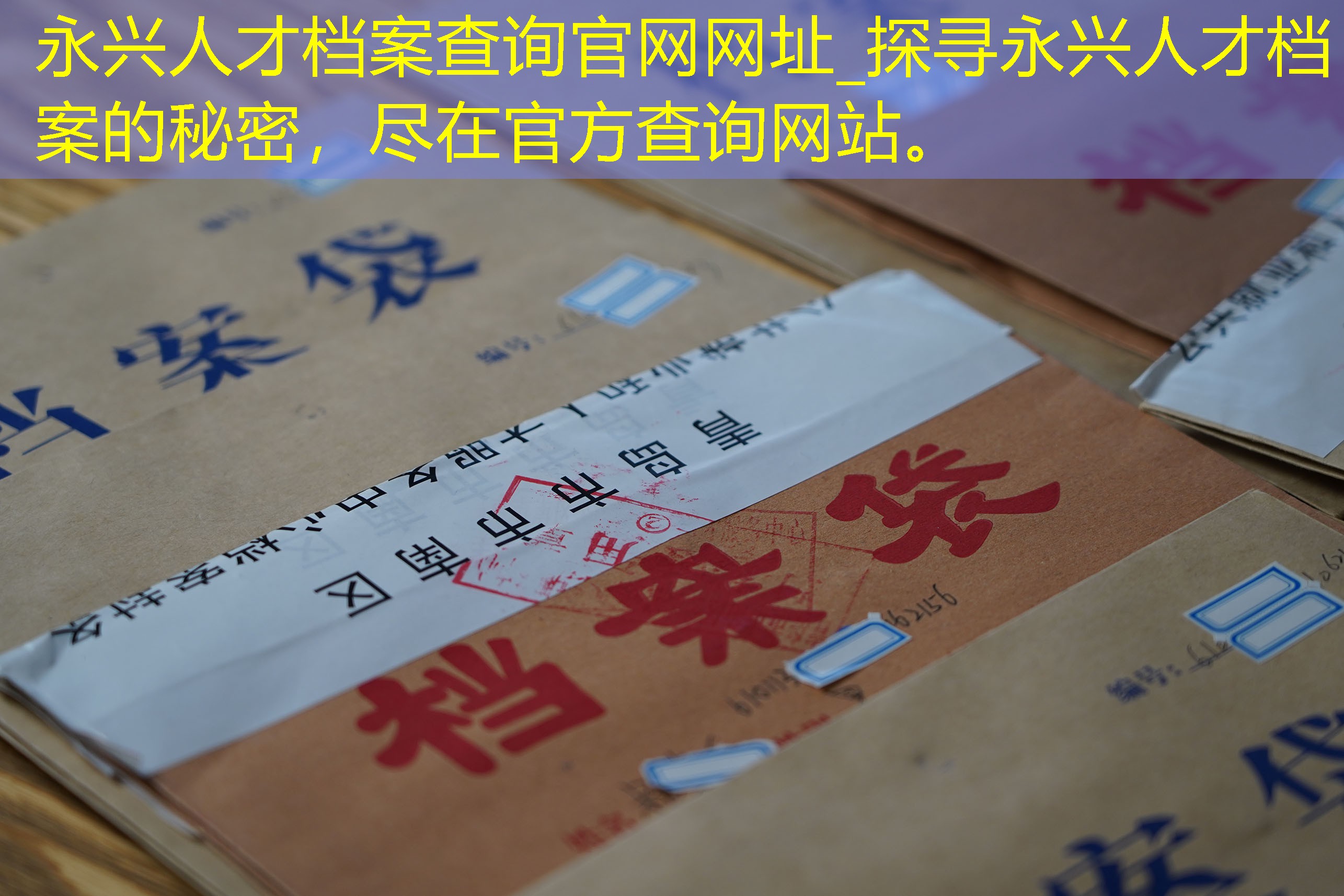 档案查询